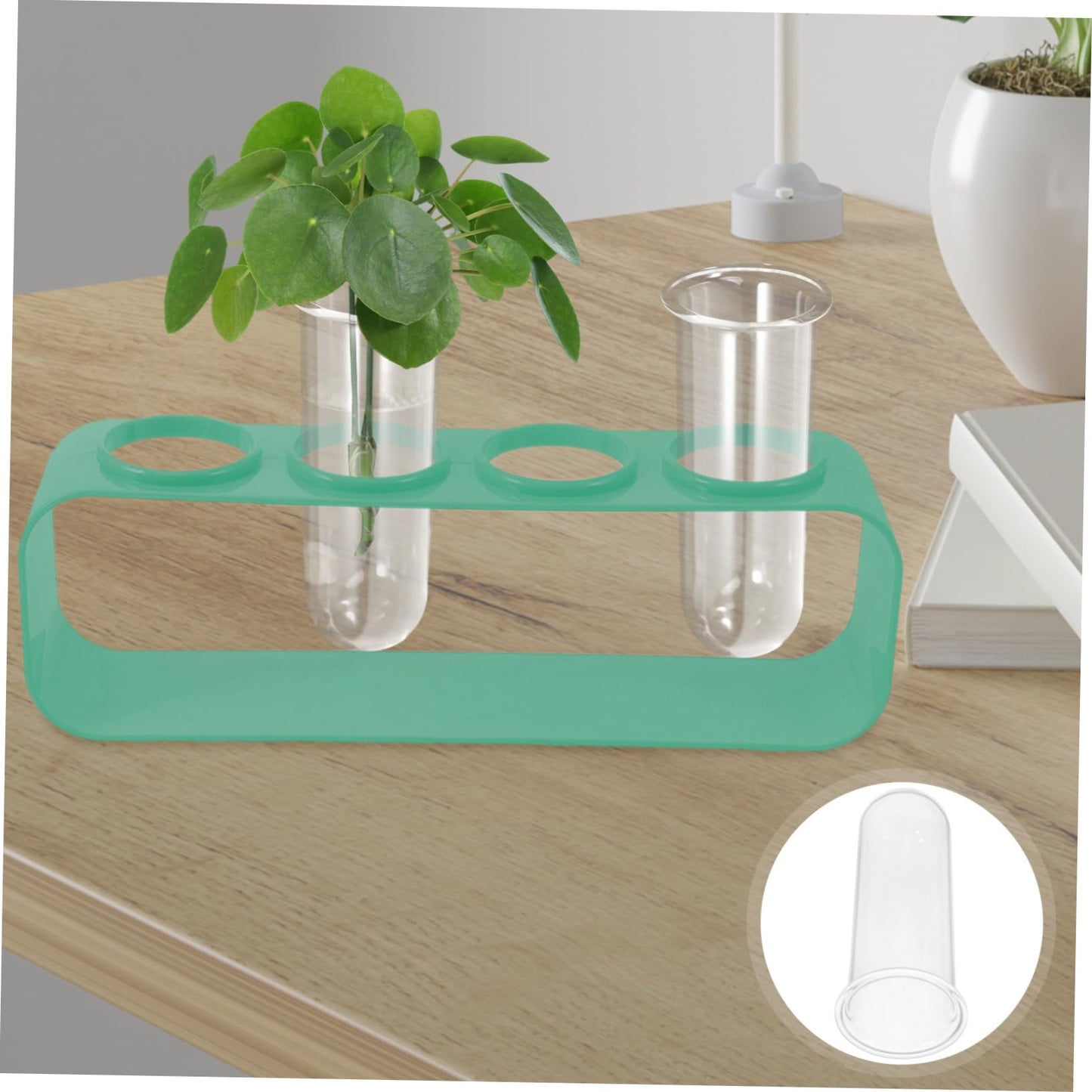 Garneck 4pcs Glass Plant Test Tube Vase Small Vases for Hydroponic Flowers Terrarium Desk Decor