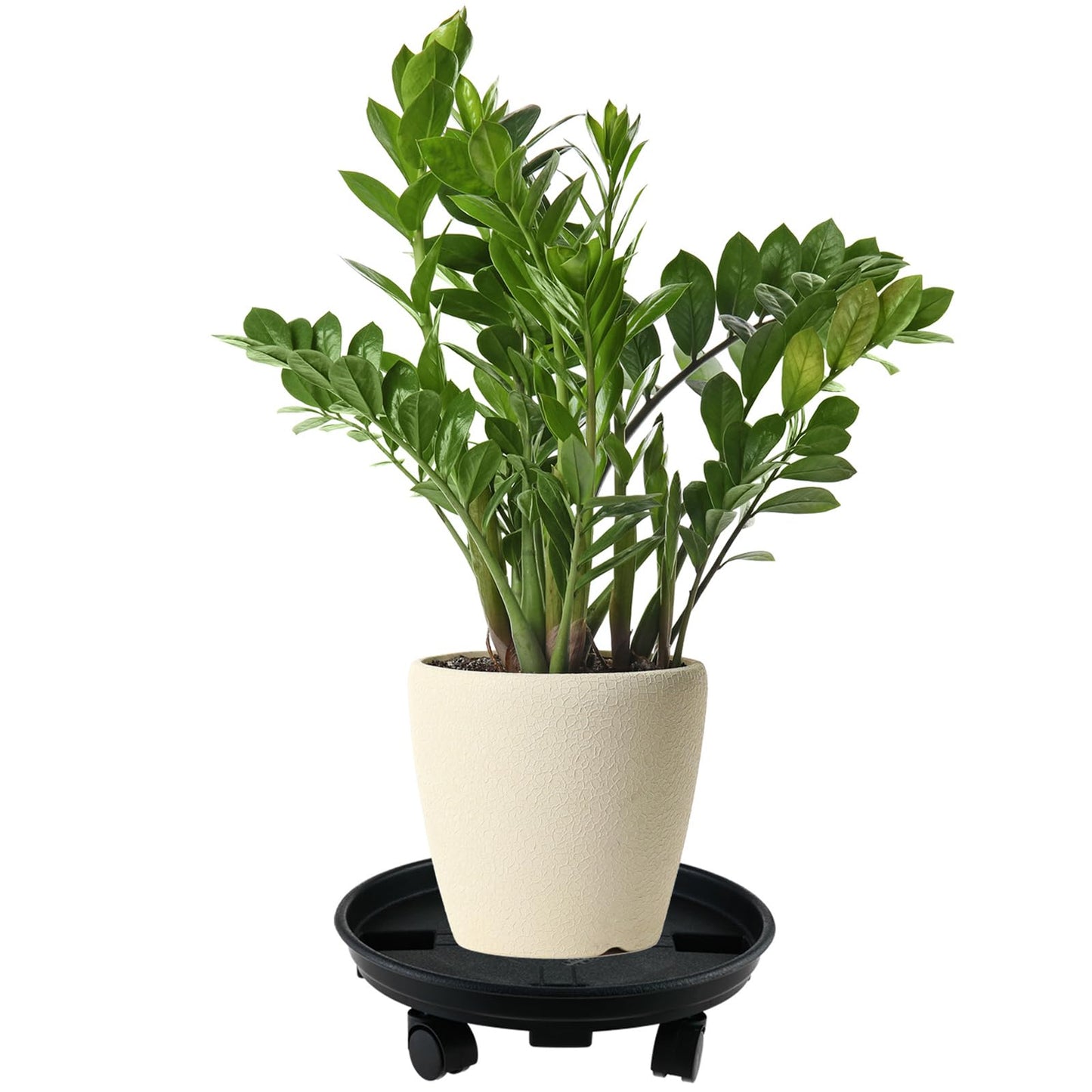 6 Packs 10.6 Inches Small Plant Caddy with Wheels Plant Saucers on Wheels Rolling Plant Stands Heavy-duty Plant Dolly Plastic Planter Roller Base Pot Movers Outdoor Plant Tray Coaster, Black
