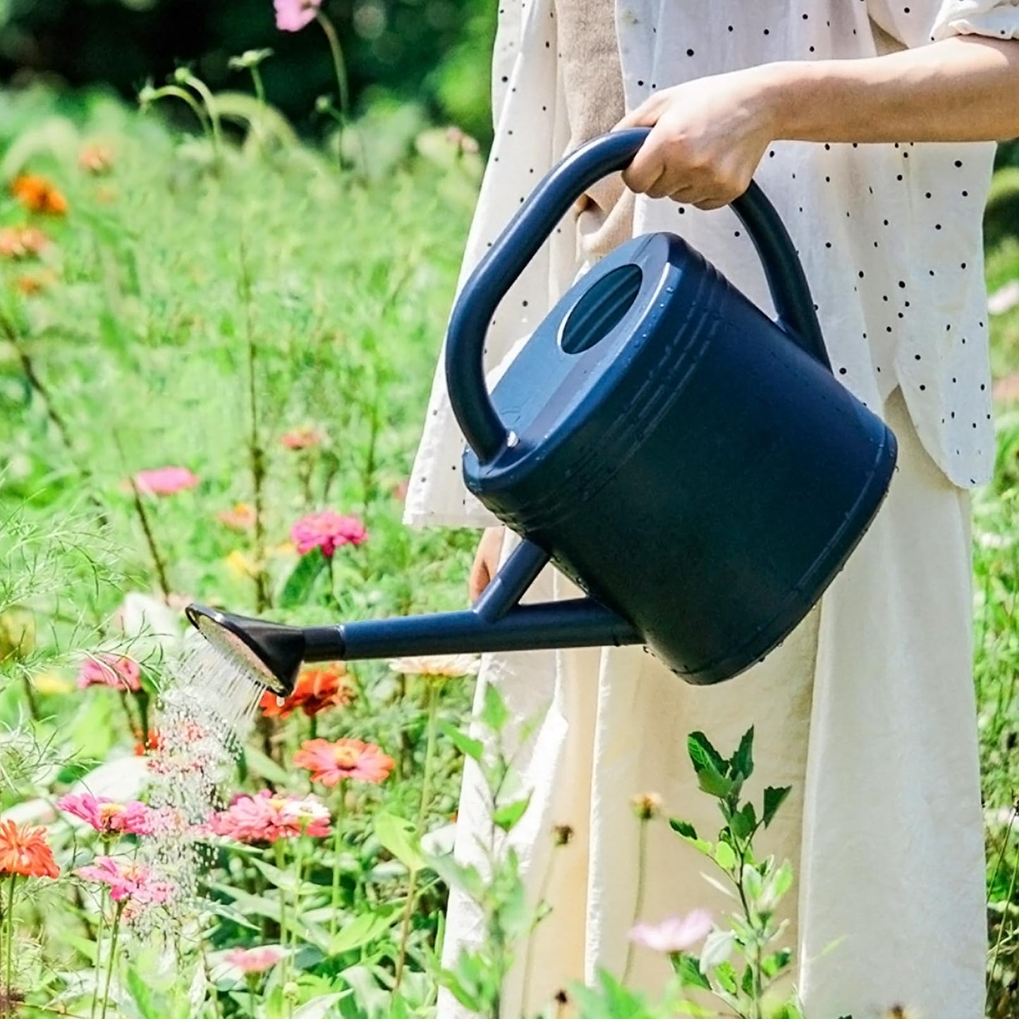Luwint Watering Can Plants, Plastic Watering Pot with Long Spout & Detachable Shower Head 0.8 Gallon / 3 L for Indoor Outdoor Plants Flower Garden (Blue)