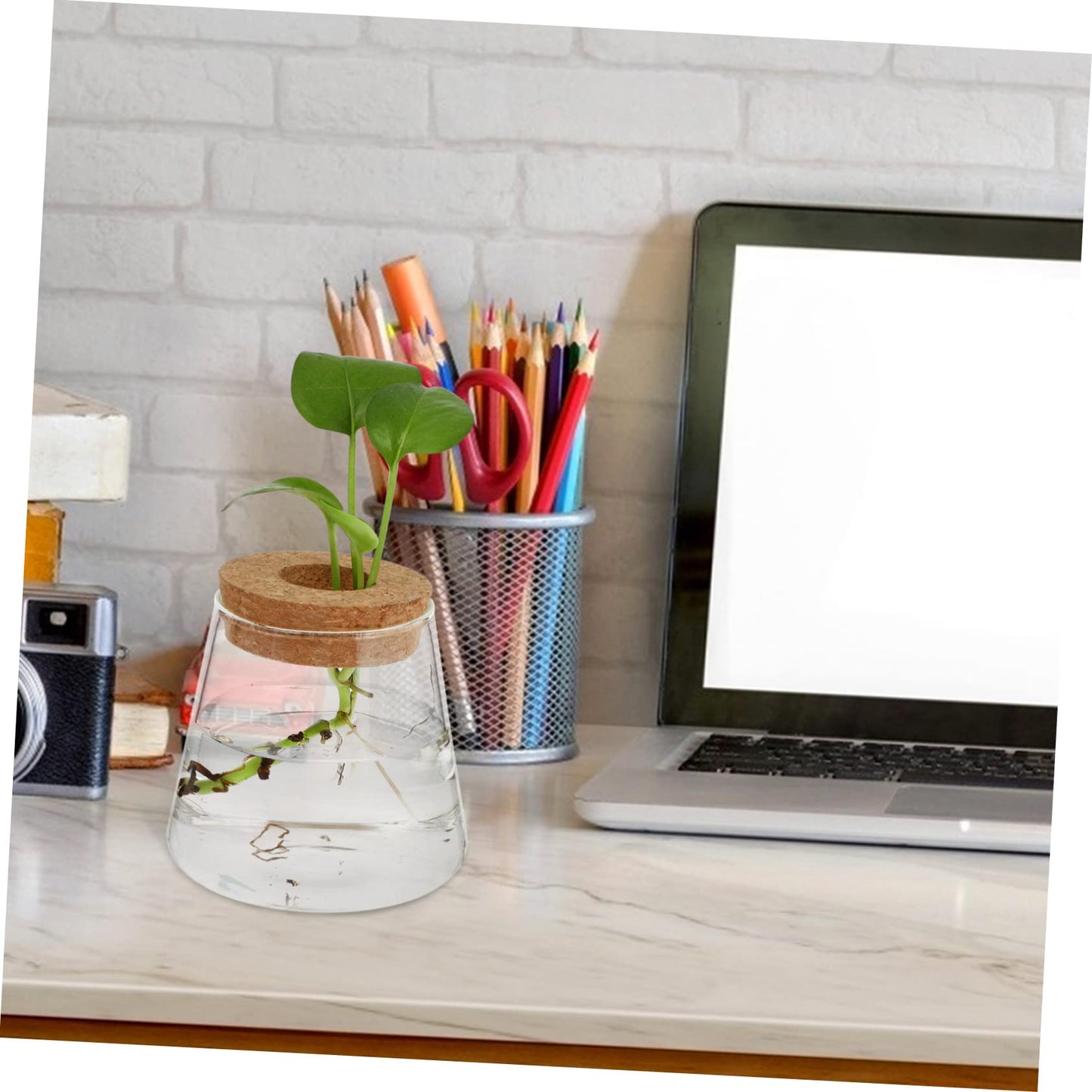 VALICLUD 2Pcs Glass Desktop Vases Hydroponics Plant Containers Terrarium for Office Home Decor Glass and Wood Material Space Saving Propagation Jars