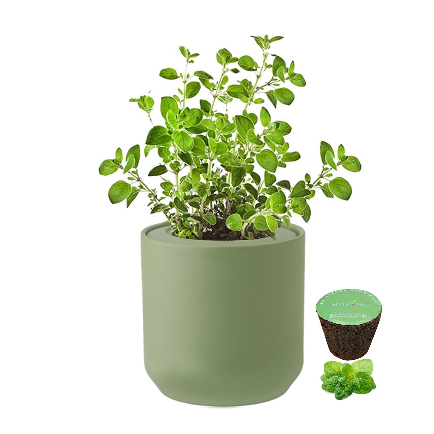Environet Hydroponic Herb Growing Kit, Self-Watering Kitchen Herb Garden Starter Kit with Green Ceramic Pot and Seeds (Oregano)