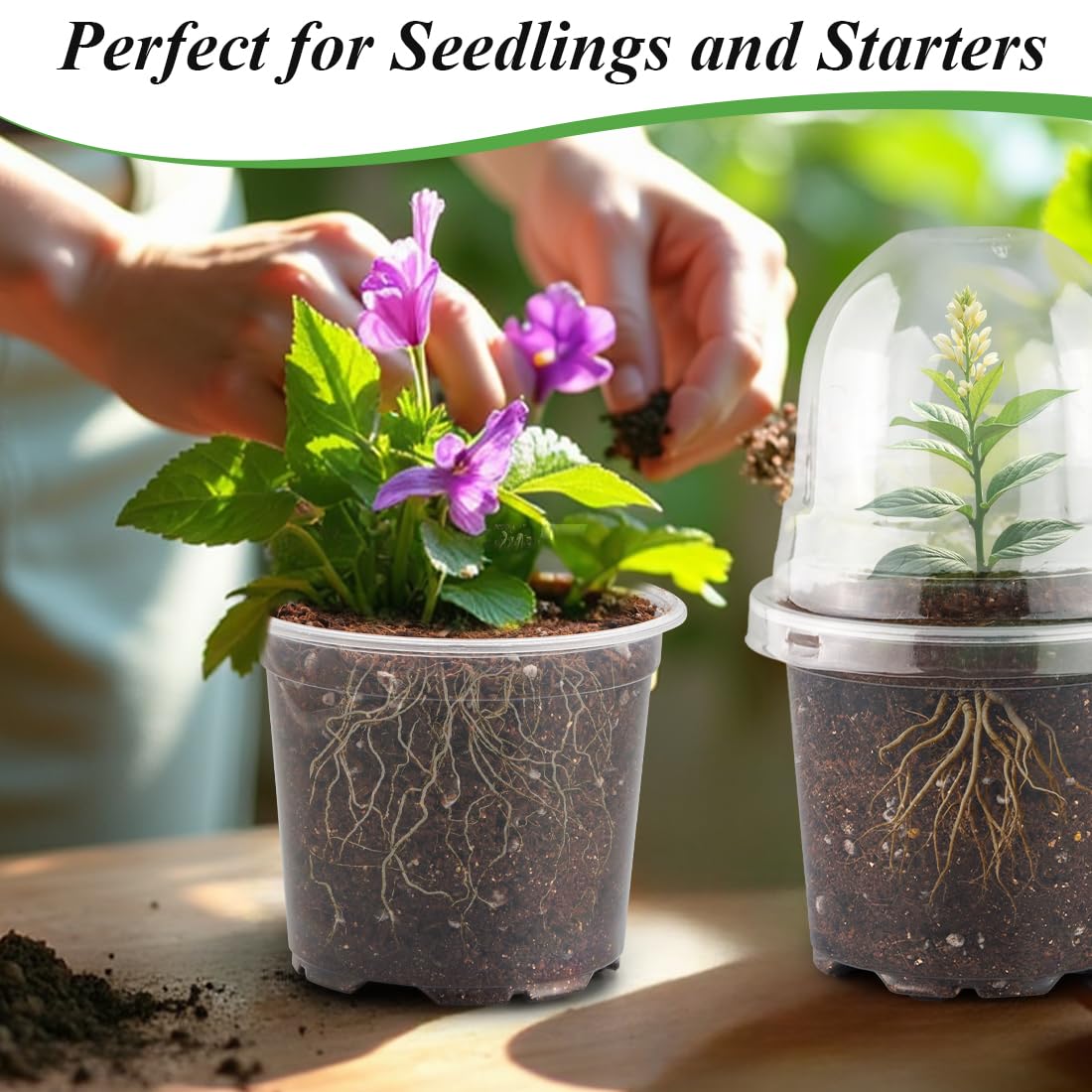 RooTrimmer Transparent Nursery Pots 4Inch with Humidity Domes for Seeds Starting, Clear Plastic Plant Pots with Drainage Holes (4Inch, 30Pcs,Clear Pots with Lids)