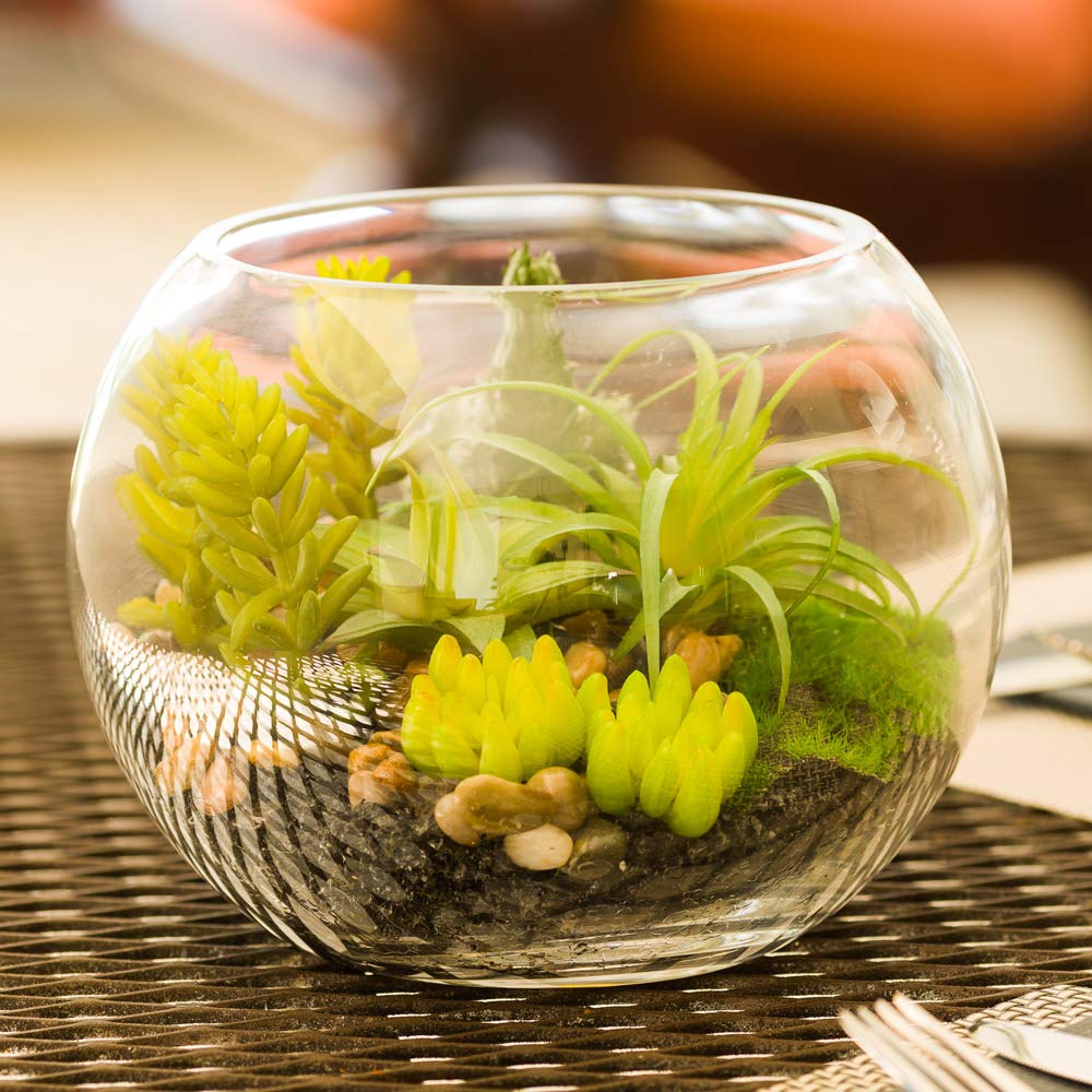Restaurantware-7 x 5.5 Inch Faux Succulent, 1 Artificial Succulent - In Fishbowl Glass Terrarium, Use As Table Or Shelf Decor, Centerpiece, Plastic Fake Desk Plant, For Homes Or Weddings