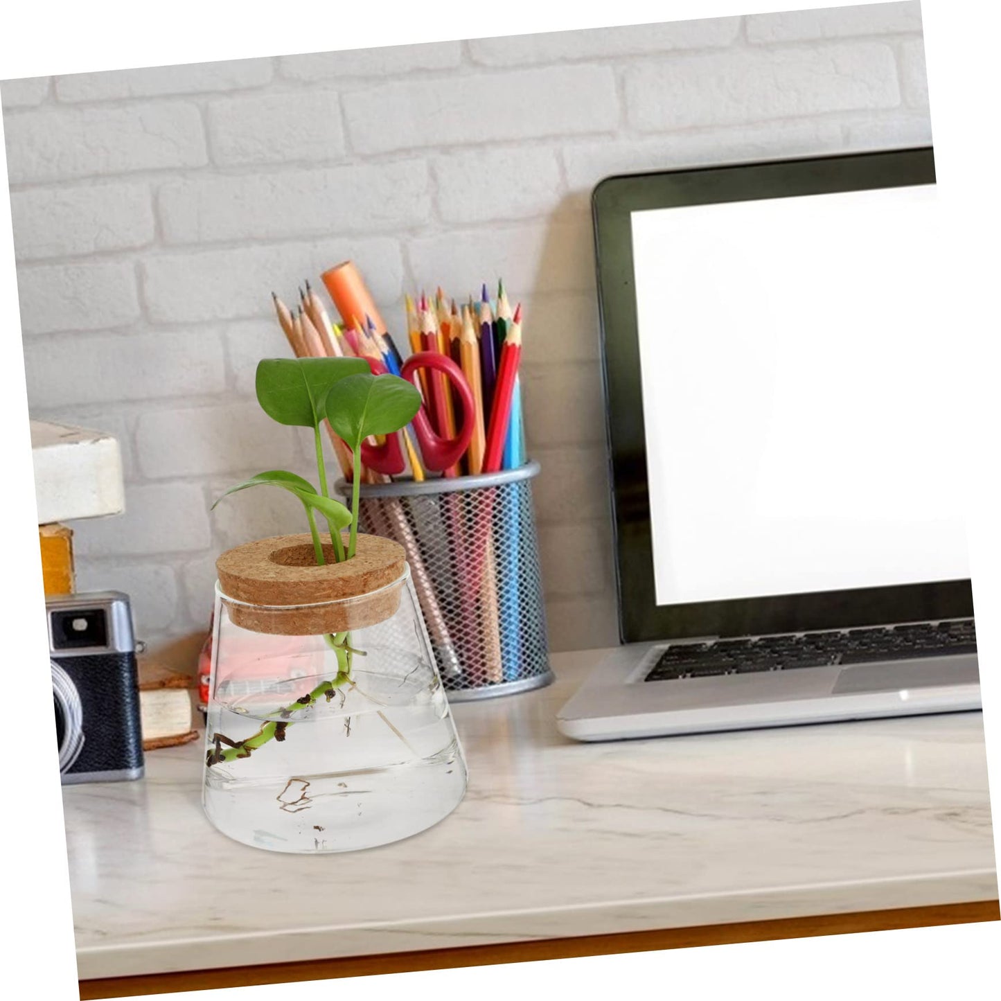 Ciieeo 2Pcs Glass Desktop Planter Vase for Hydroponics Chic Terrarium for Indoor Plants Home Office Decoration for Floral Arrangements and Plant Propagation