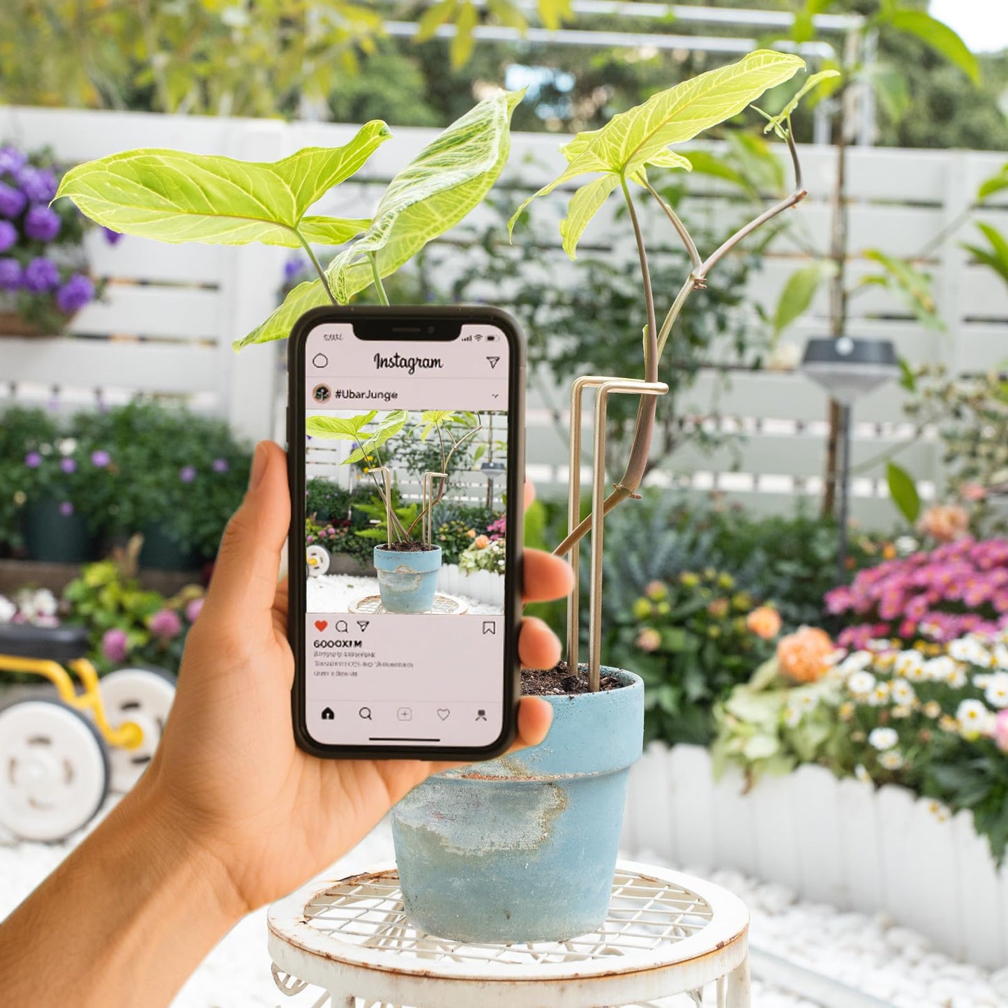 GOOOXIM 8.7 Inch Indoor Plant Trellis -10 Pack Small Gold Plant Supports for Outdoor Plants, Monstera Trellis Stakes & Stem Holders, Durable Iron Garden Flower Support for Young Plant Growth