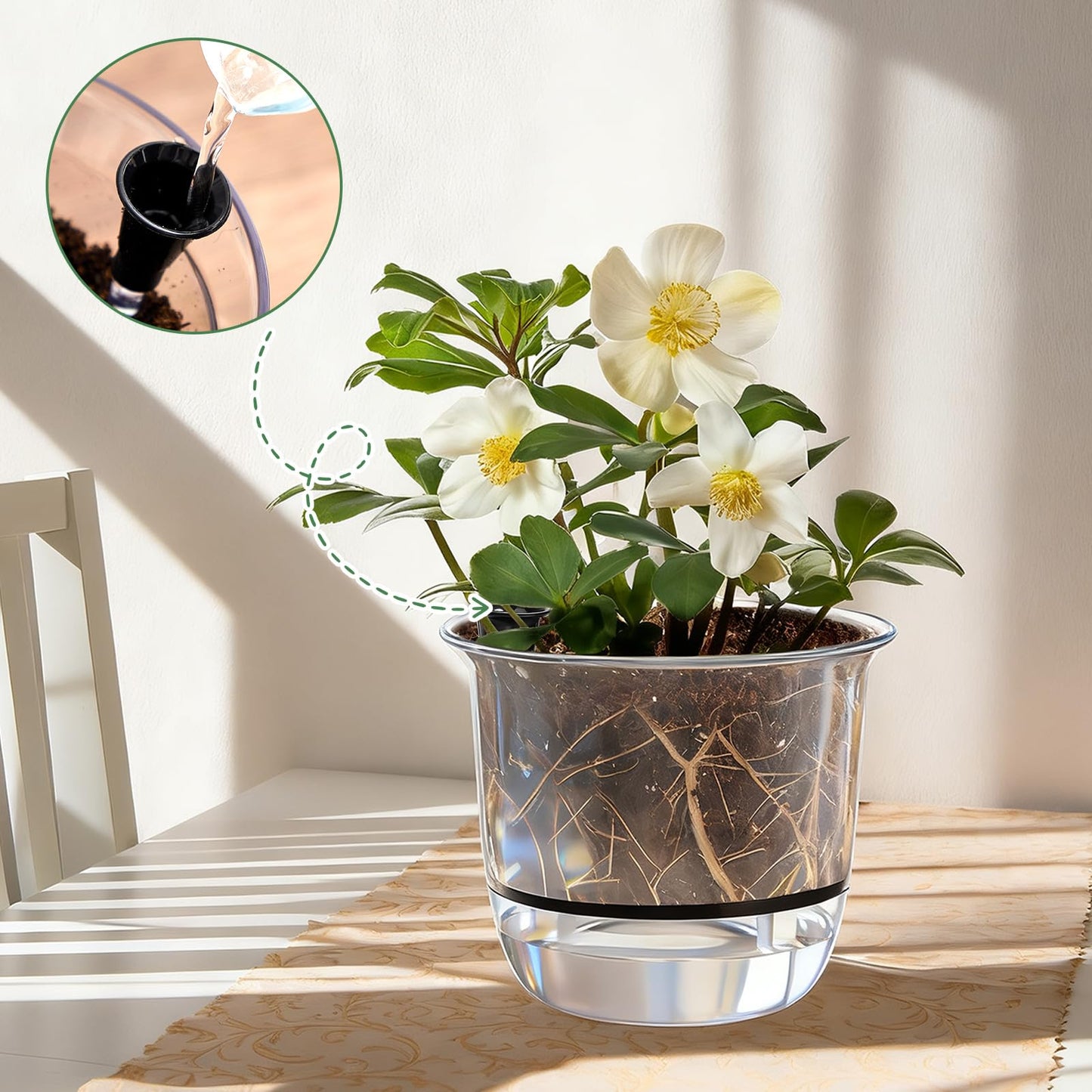 Ferrochef 6 Pcs Clear Self Watering Pots for Indoor Outdoor Plants Flowers, 2 Each of 4, 5 and 6 Inch Self Watering Planters with Reservoir, Drainage Hole and Absorbent Cotton Rope