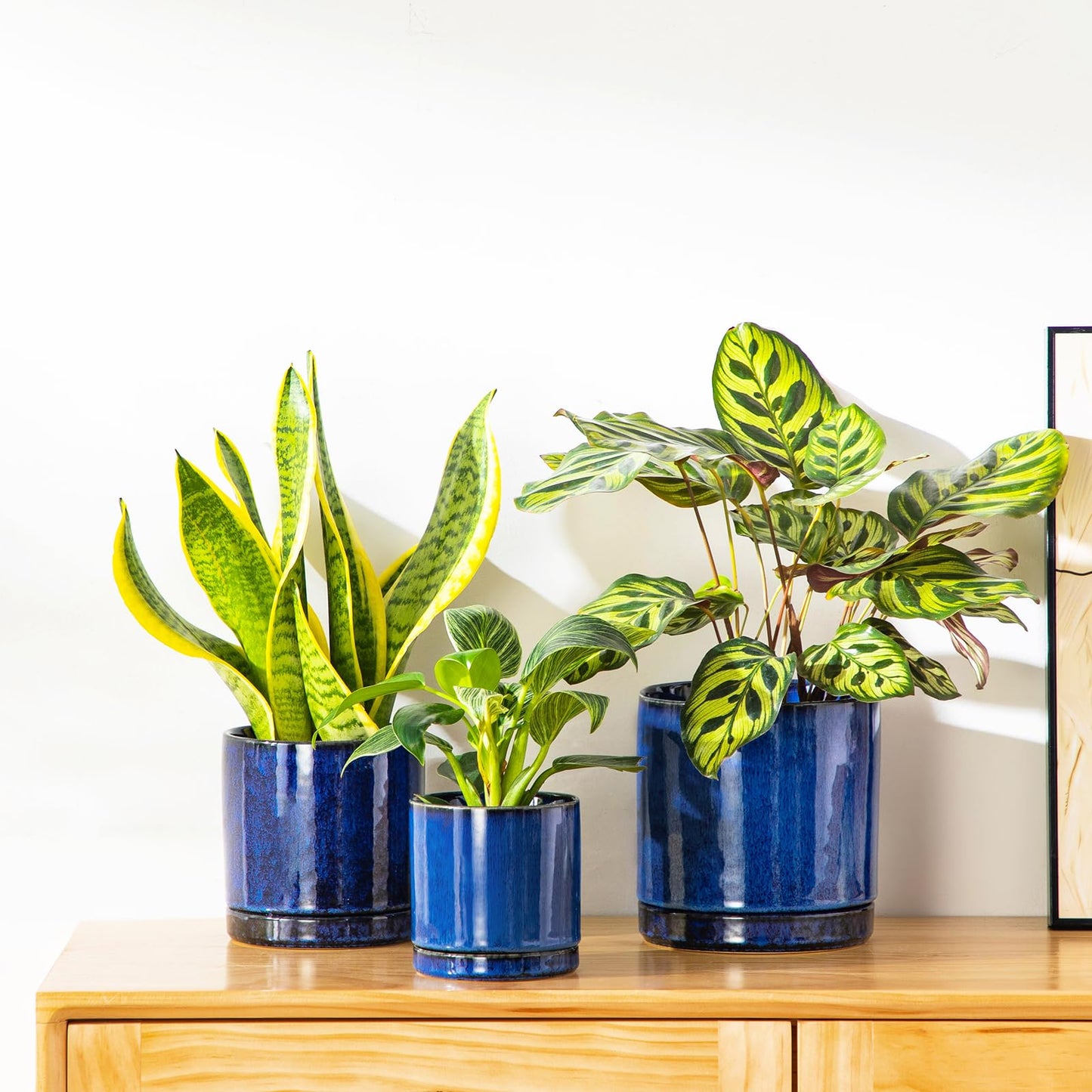 vancasso Ceramic Plant Pots, 3 Piece Planters for Indoor Plants, 4.25+5.25+6.25 Inch Flower Pots with Drainage, Plant Pots Indoor for Succulent, Pothos, Snake Plant and Money Tree, Etc (Blue)