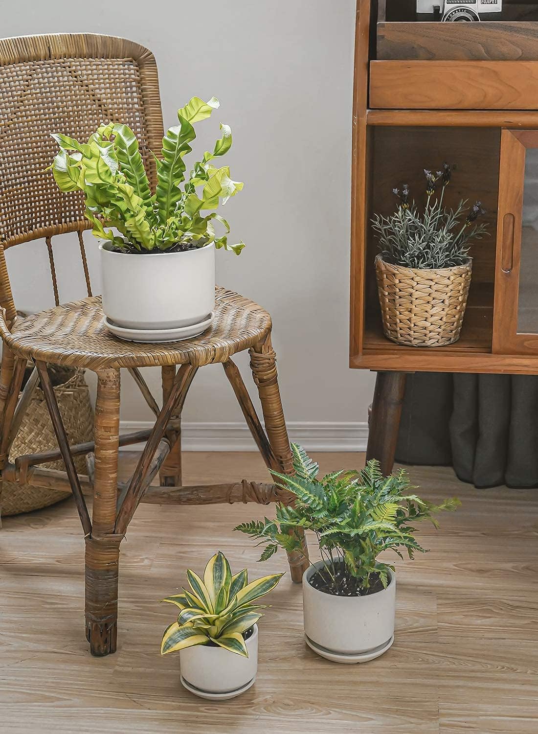 LE TAUCI Ceramic Pots for Plants, 4.3+5.3+6.8 Inch Plant Pots, Set of 3, Planters with Drainage Hole and Saucer, Indoor Flower Pot with Hole Mesh Pad, Gifts for Mom, White