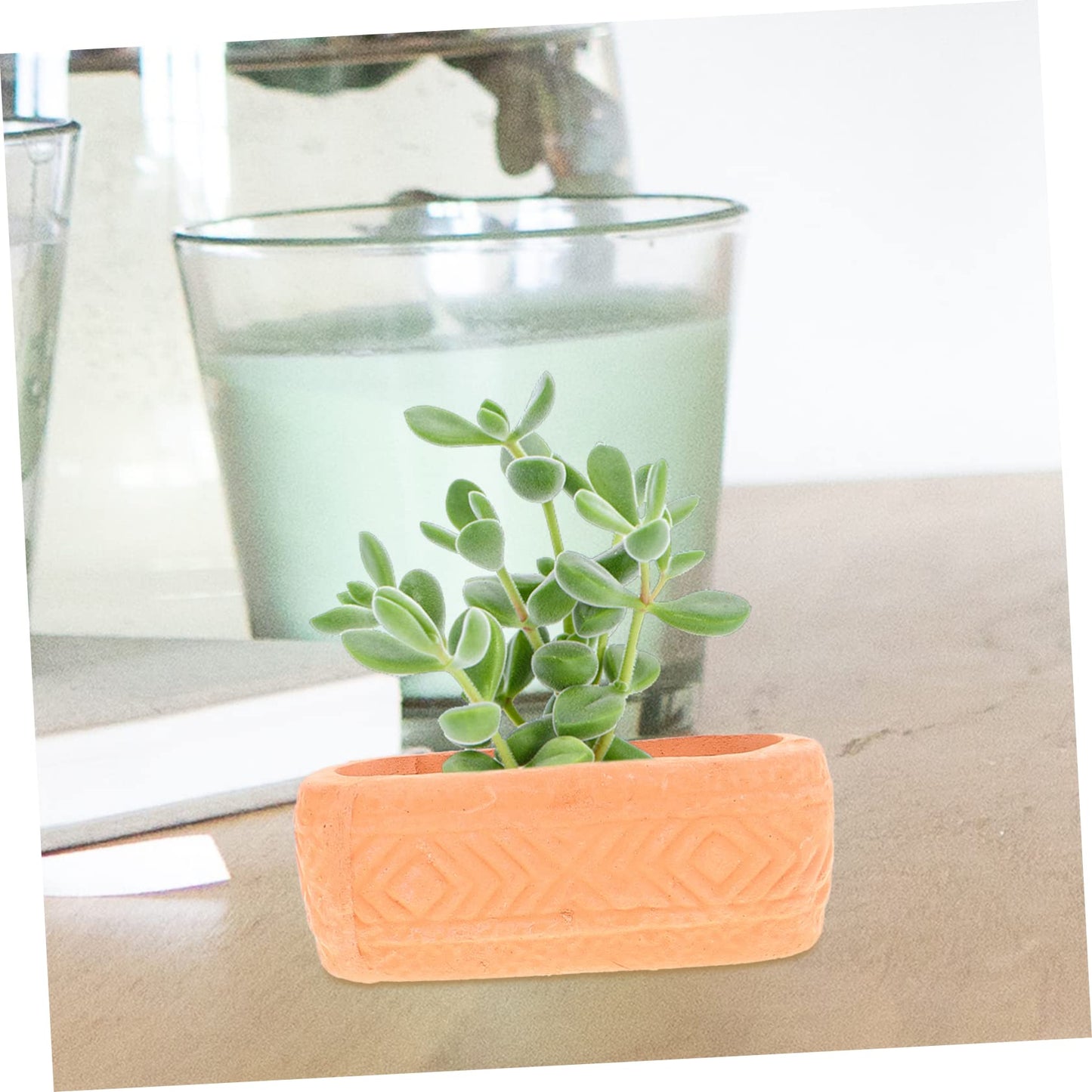 ORFOFE Mini Ceramic Nursery Pots 6-Pack Lightweight Plant Containers with Drainage Holes for Seedlings Succulents Indoor Gardening 1.88X0.70X0.70In