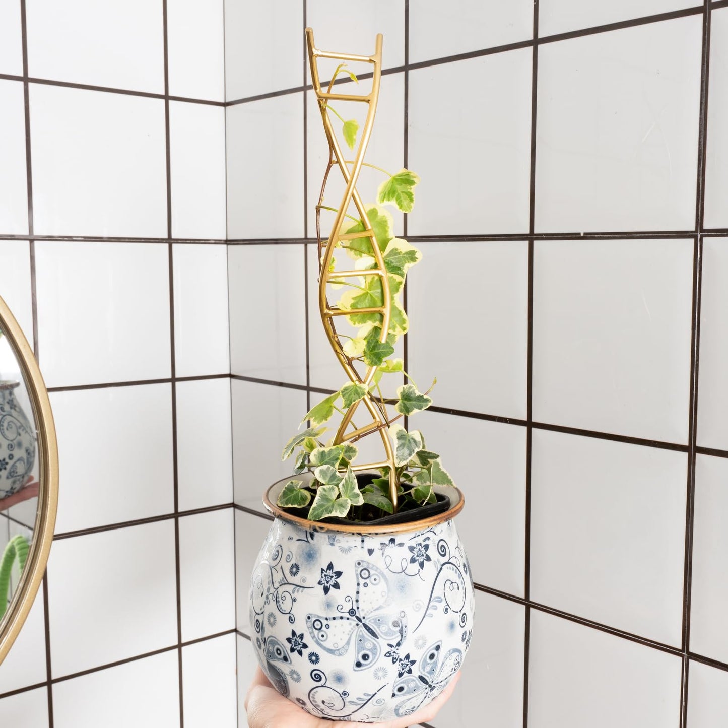 GOOOXIM Indoor Plant Trellis for Potted Plants - Durable Metal Climbing Trellis with Unique DNA Spiral Design for Vining Plants, Easy Installation for Indoor & Outdoor Use