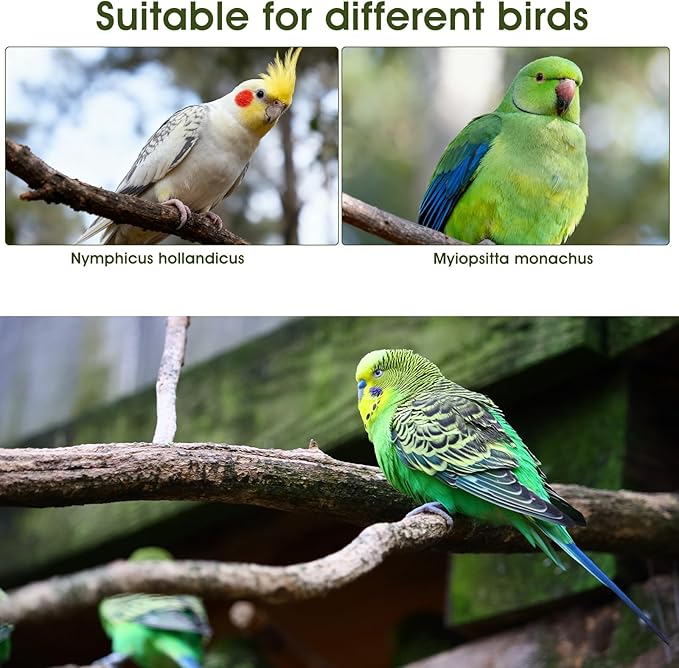 4 Pcs Bird Diaper, Cute Pet Bird Diaper, Parrot Nappy Reusable Flight Suit with Waterproof Inner Birds Diapers for Parakeet Cockatiel Mini Macaw Budgie Canary