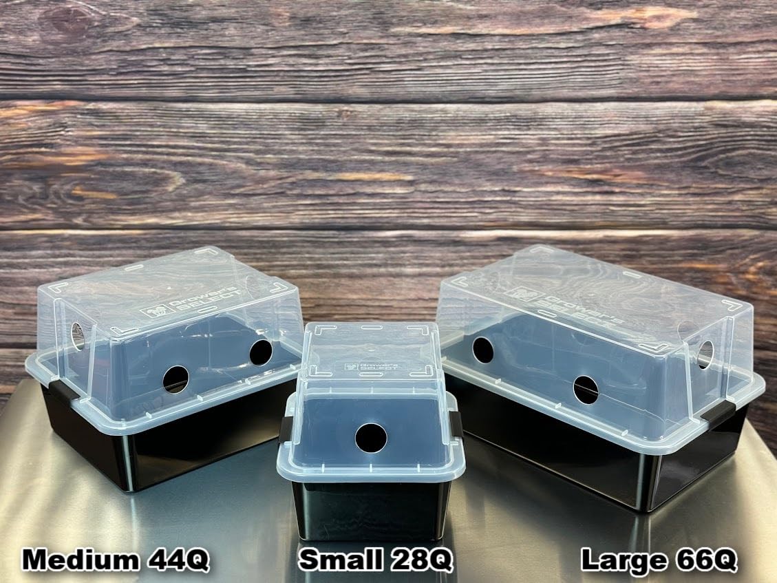 Myco Labs Grower's Select 28Q Cube Mushroom Monotub Fruiting Chamber with Filter Disks and Liner
