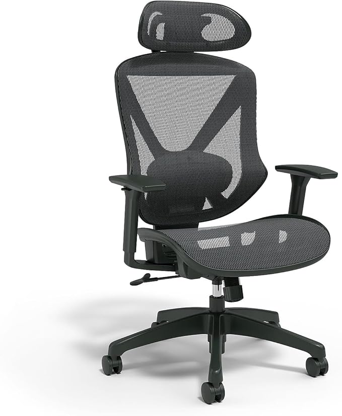Staples Dexley Ergonomic Task Chair, Lumbar Support, Adjustable Height