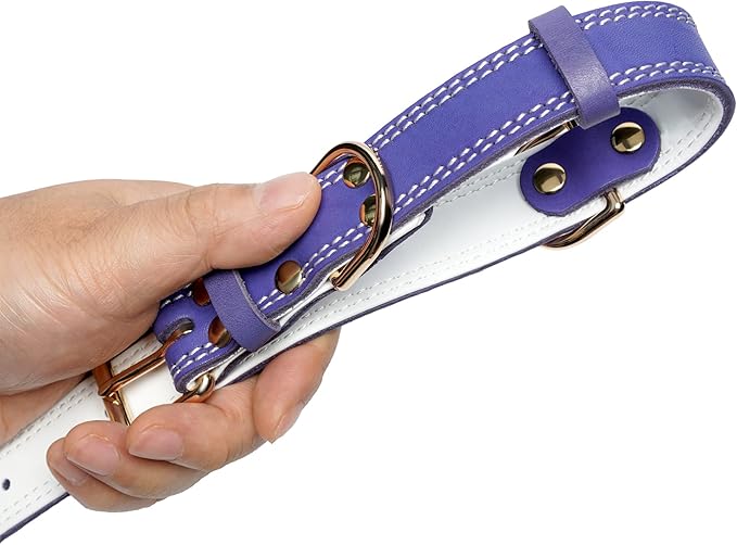 Genuine Leather Dog Collar, Heavy Duty Wide Dog Collar for Small, Medium, Large and Extra Large Dogs (M: 1" Wide for 15.2"-19.2" Neck, Dual Stitch - Purple)