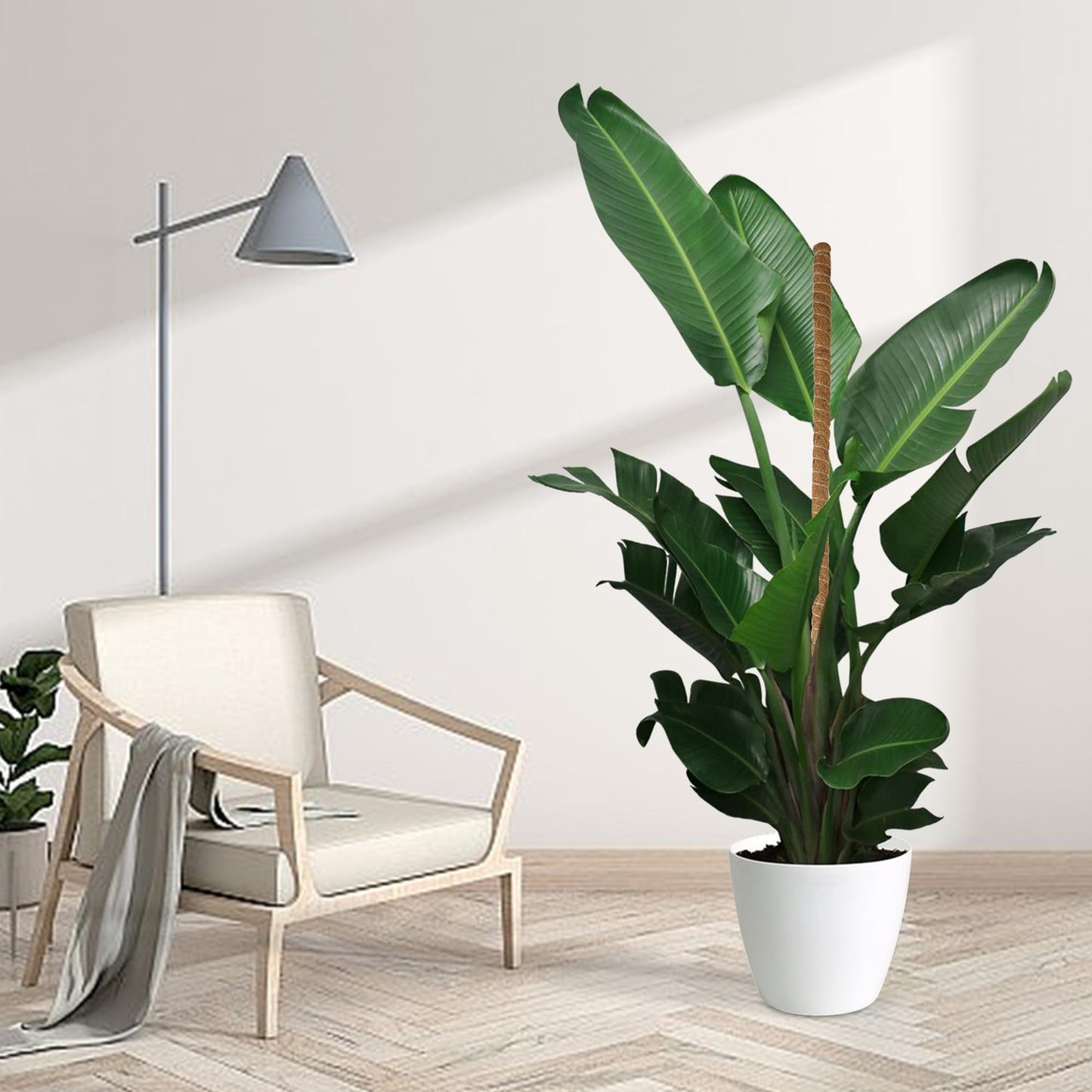 Glory Island 63 Inch Moss Pole Monstera Plant Support, Coir Totem Pole for Indoor Plants, Tall Bendable Plant Climbing Stake with Jute Rope, Long Plant Pole Sticks for Pothos Live Plant