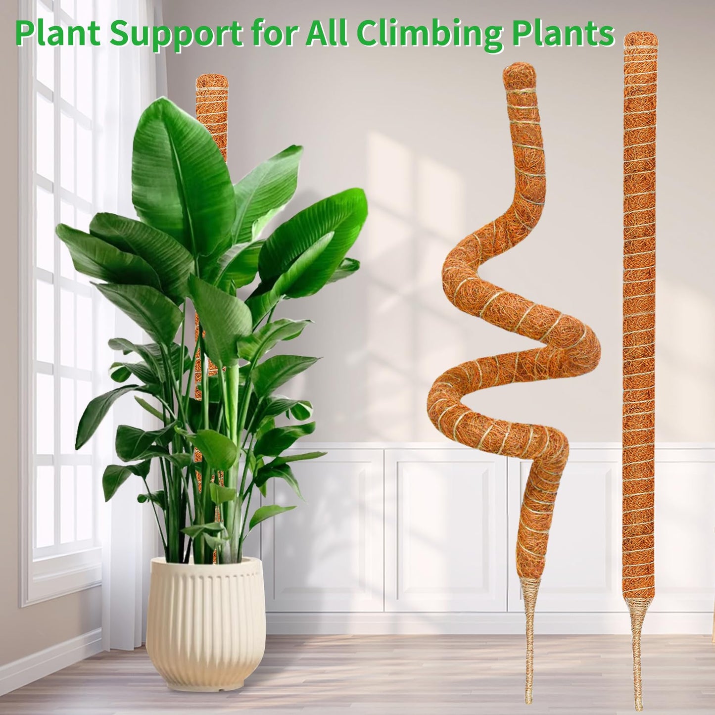 Dimpoo 2 Pack 39 Inch Moss Pole Monstera Plant Support, Coir Moss Poles for Climbing Indoor Plants, Bendable Plant Stake Trellis for Potted Plant, Pothos, Philodendron