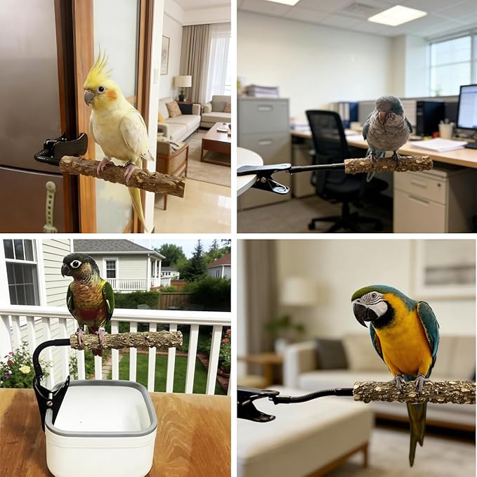 Parrot Bird Perch Stand with Clip,Adjustable & Portable Parrot Stand,Bird Training Stand for Cockatiels, Conures, Lovebirds and Medium & Small Parrots(Rough)