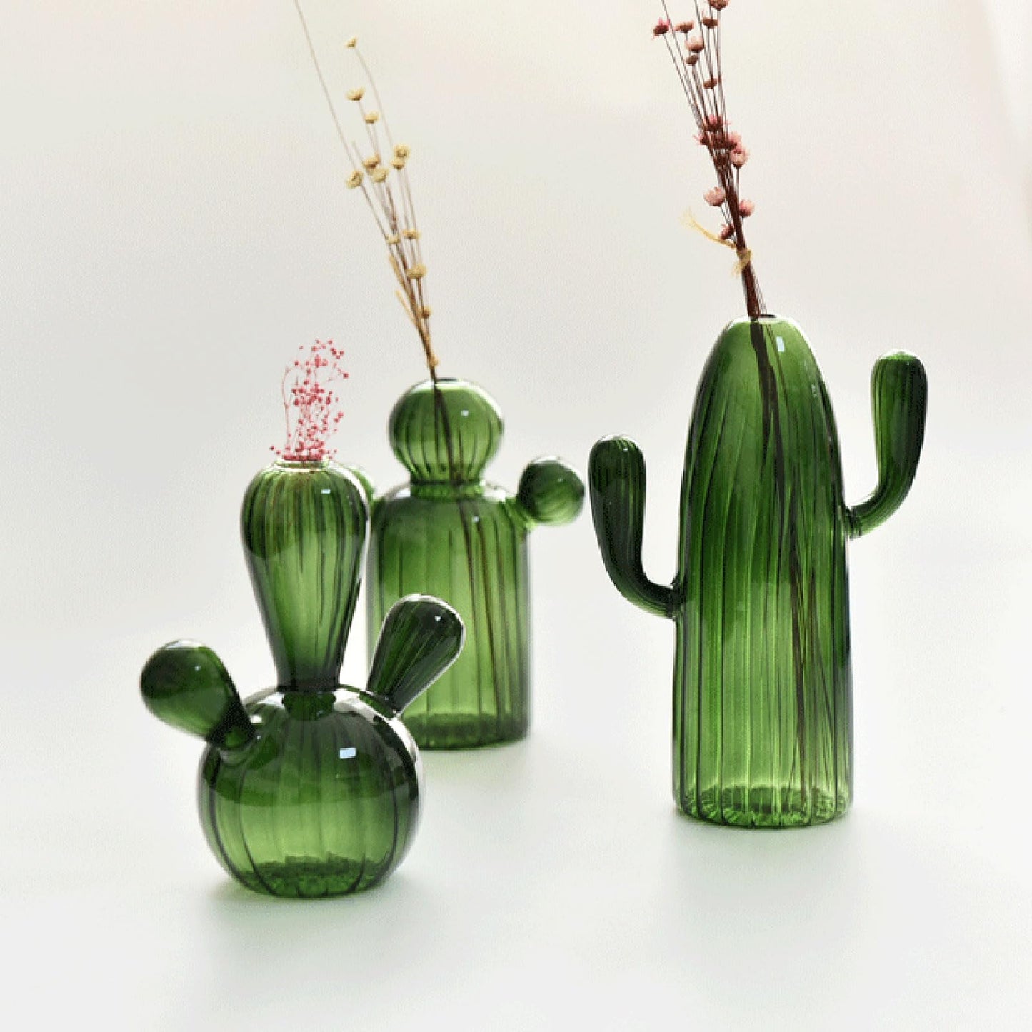 Cactus Glass Vase Flower Plant Flowerpots Decorations Home Hydroponics Terrariums Flower Arrangement Flowerpots Livingooms Decors Cactus