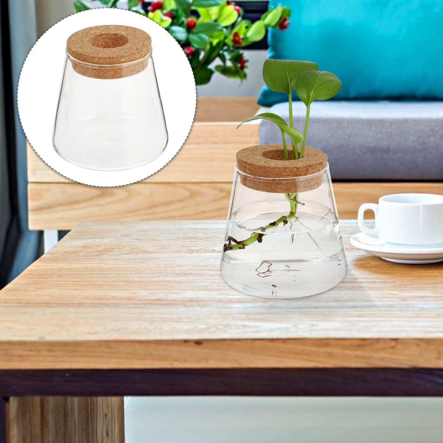 SOLUSTRE 2pcs Glass Hydroponic Plant Vases with 6.5cm Opening, Glass Terrarium for Water Propagation, Small Desktop Home and Office Garden Decoration