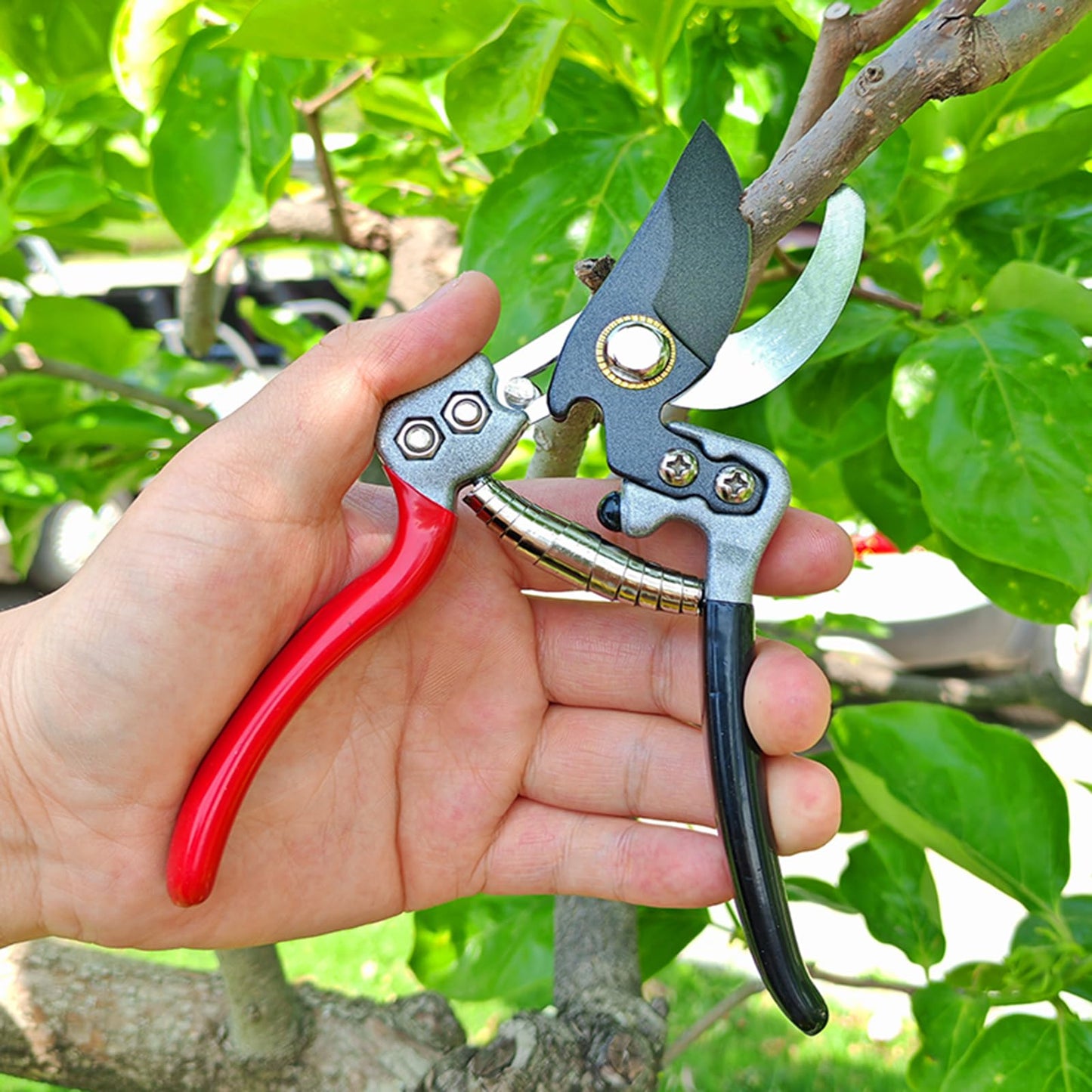 MEPEREZ Ultra Sharp Germany Titanium Steel Pruning Shears - Cuts 3X Easier, Weak Hand Arthritis Snips, Rust-Resistant, Effortlessly 1-Inch Cut Capacity Garden Scissors, Ergonomic Handle (gt-06, 1)