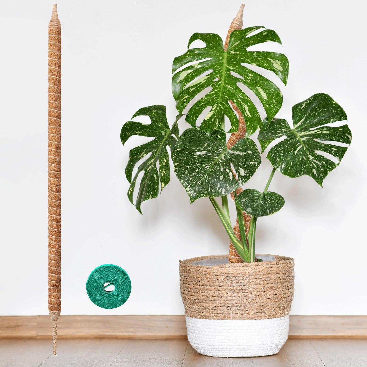 Vanut Moss Pole Monstera Plant Support, 28in Bendable & Sturdy Plant Holder Stick for Pothos Vines, Philodendron, Fishbone Cactus & Indoor Tropical Houseplants, Made for Coco Coir