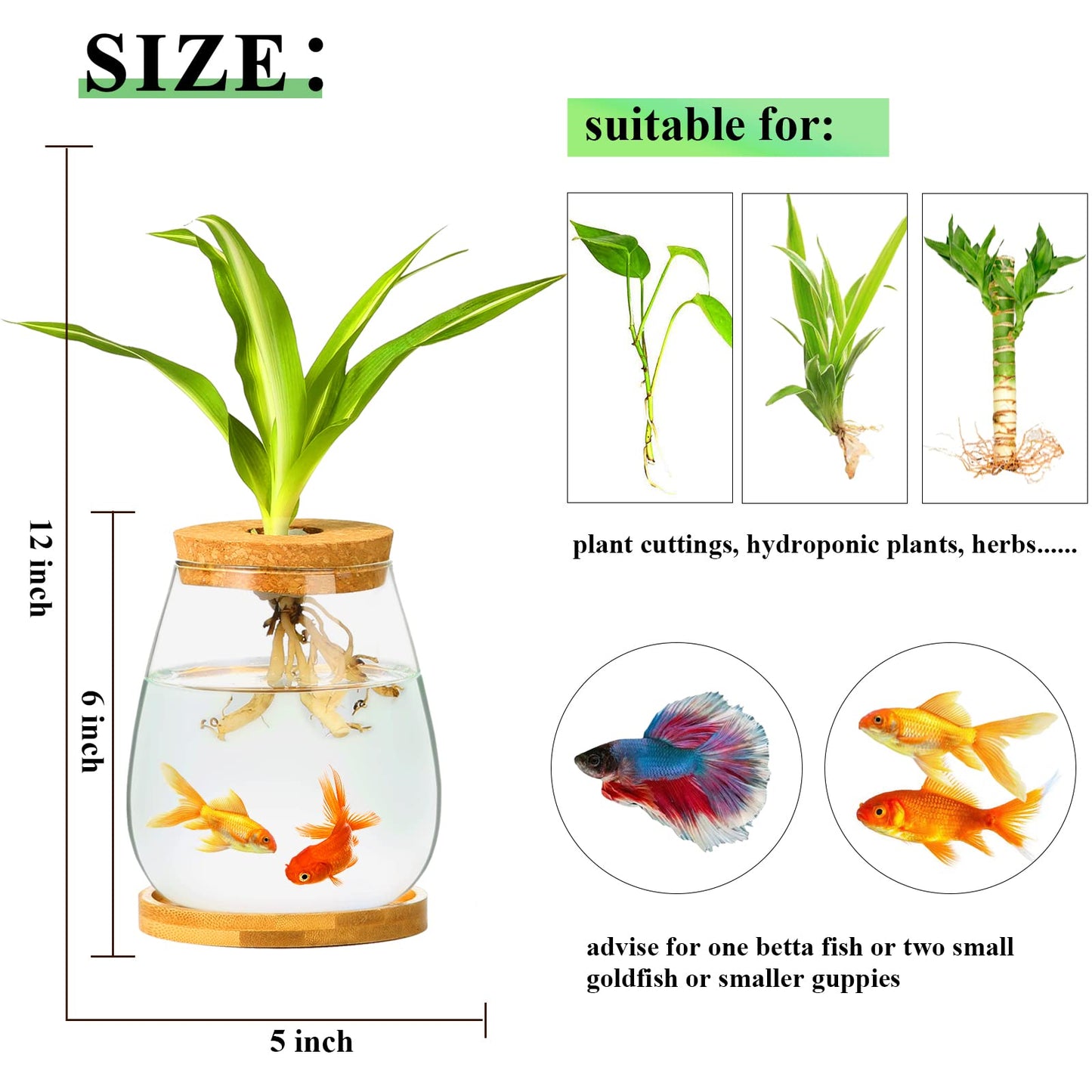 Desktop Plants Terrarium Propagation Station Hydroponic Planters Retro Oval Glass Vase with Lid and Stand Home Office Decoration Gifts 2 Pack