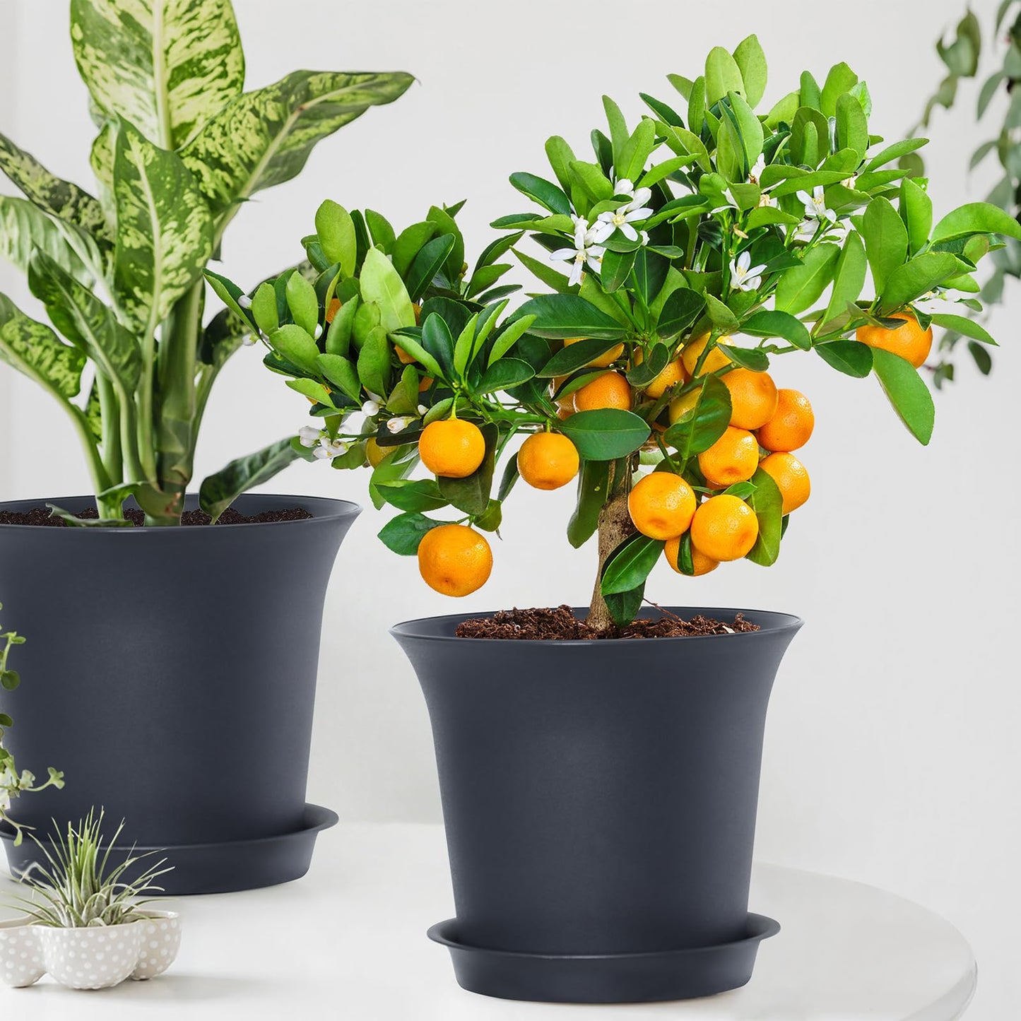 Oliz Planter Pots 8 Packs, 7.2 Inches Flower Pots with Drainage Holes & Trays, Ideal for Succulents, Herbs, Flower, African Violet, Garden Plant Pots for Home Garden Kitchen Decor (Dark Grey-2)