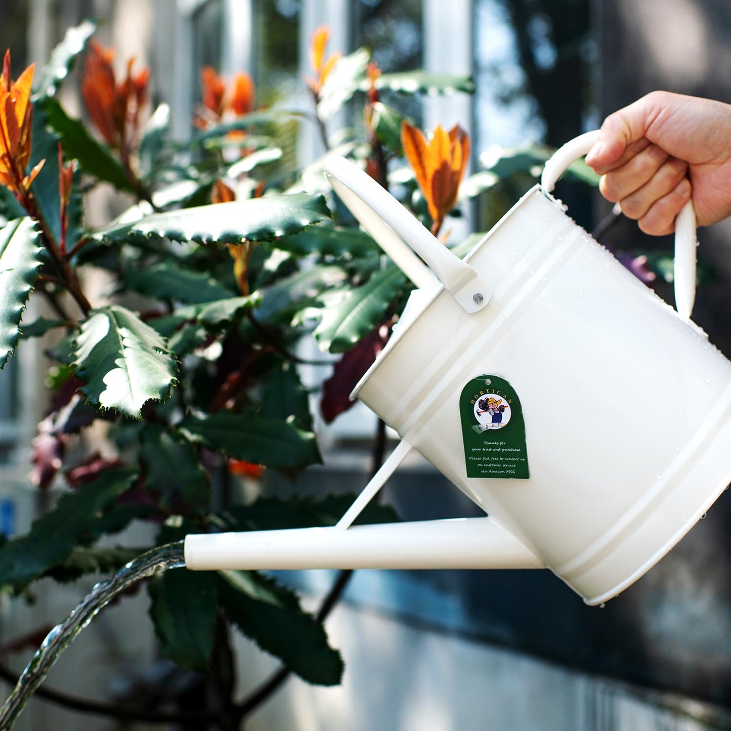 HORTICAN 1 Gallon Watering Can, Matte Cream, Metal Watering Can with Removable Spout, Galvanized Water can, Perfect Plant Water Can for Outddor and Indoor Use