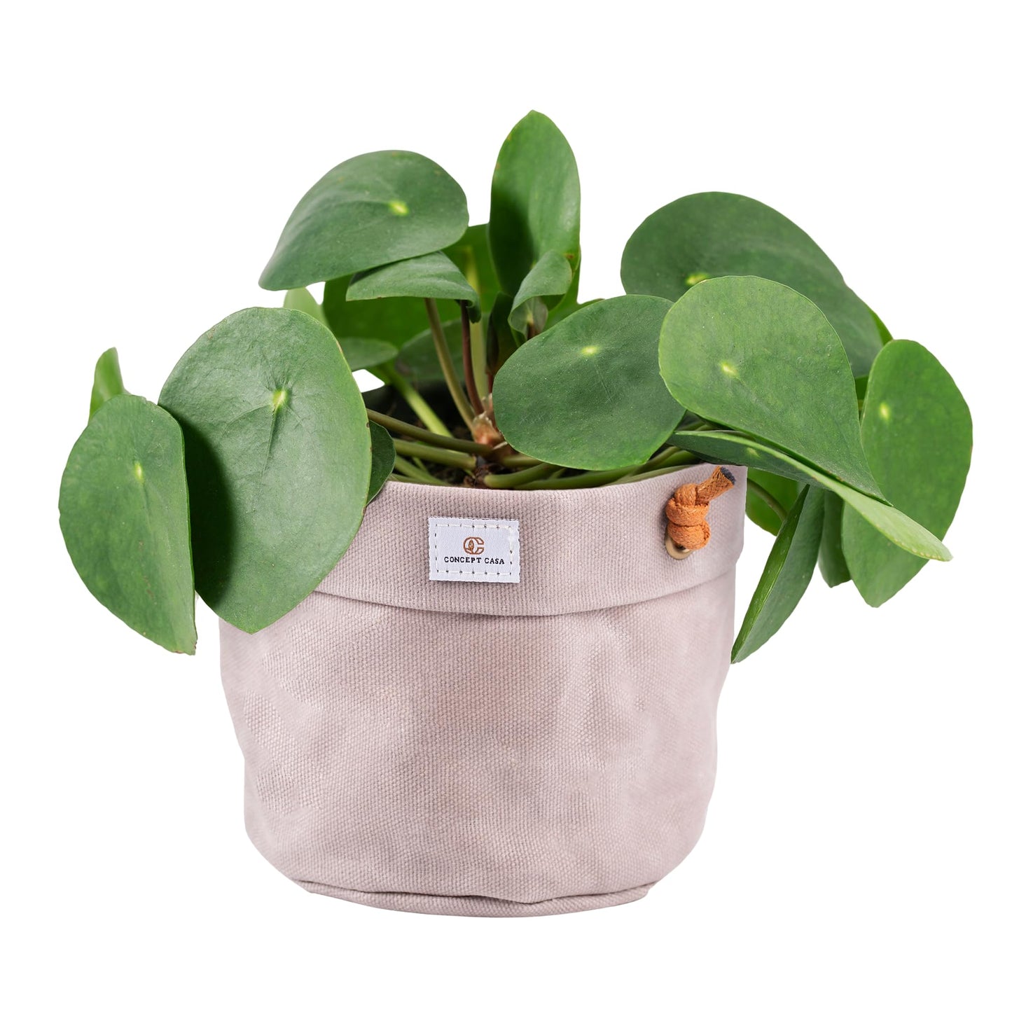 Concept Casa - Large Waxed Canvas Handmade Hanging Planter for Indoor/Outdoor Plants, Hanging Basket Plant Holder Stone Gray with Hook