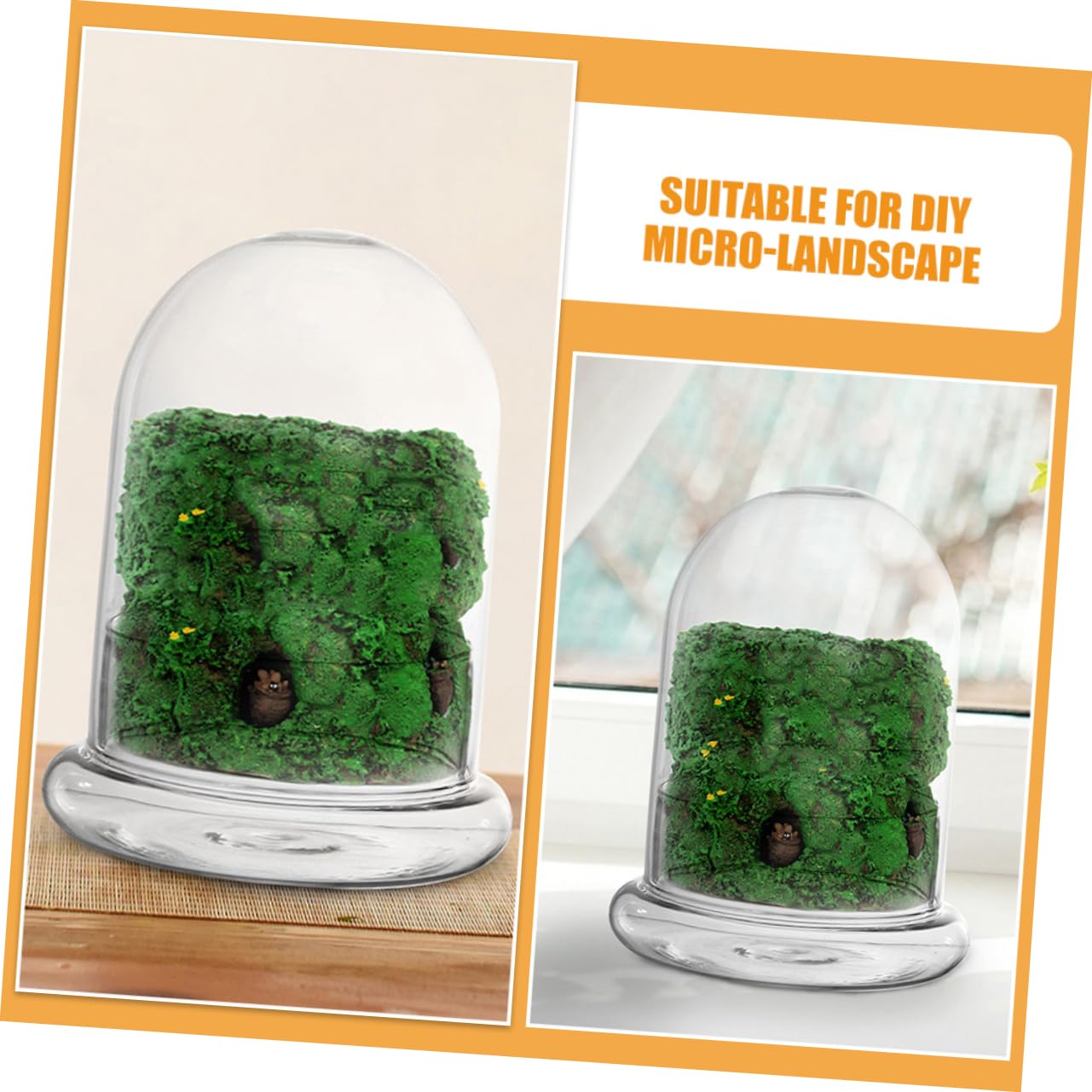 VICASKY 2pcs Glass Eco Bottle for DIY Micro Landscape Terrarium Container for Plants Decorative Desk Ornament Glass Display for Miniature Gardens