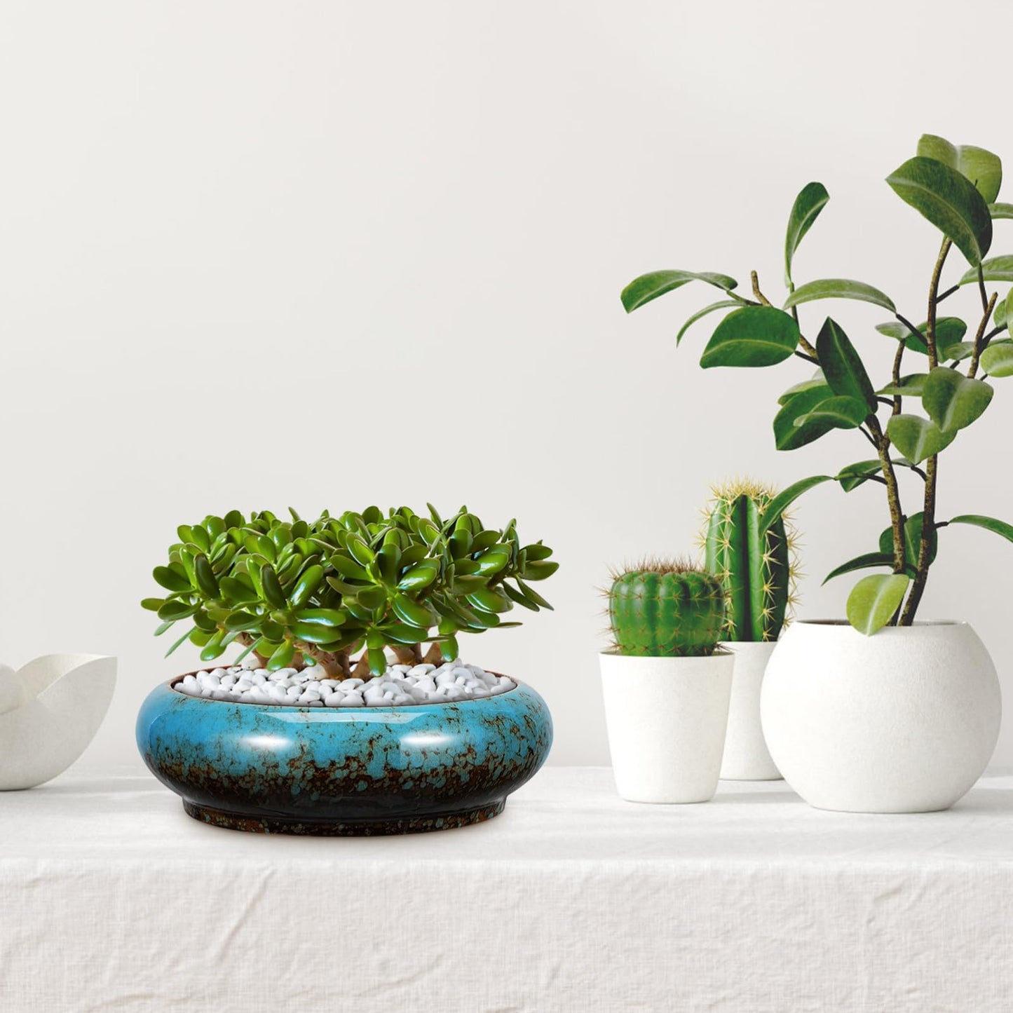 Toddmomy Lotus Planter Bowl 6.88 Inch Round Shallow Plant Pot with Drainage Hole Decorative Succulent Planter for Indoor Bonsai and Flower Plants