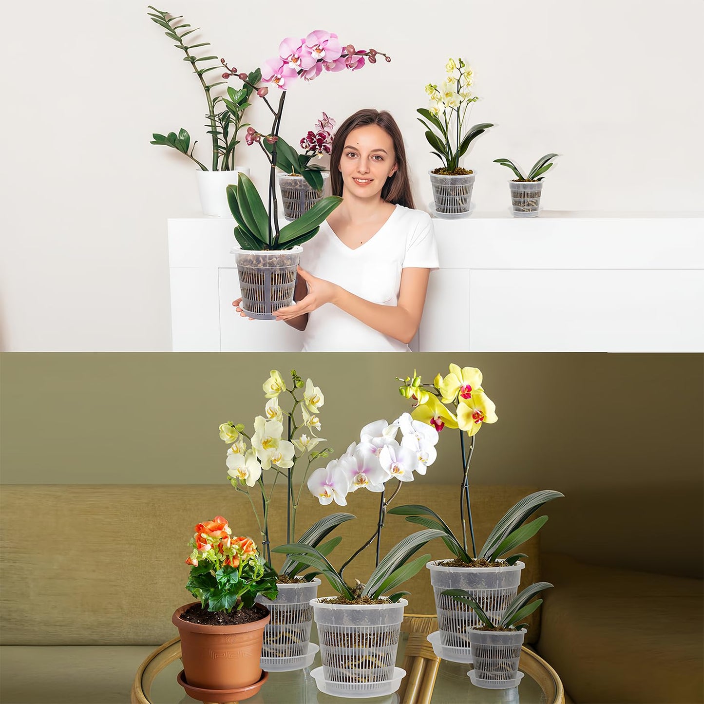 Tialero 12Pcs Orchid Pot, 3 Each of 4.5, 5.5, 6.3 and 7.5 Inch Orchid Pots with Holes and Saucers, Clear Orchid Pots for Repotting, Plastic Plant Pot(3 Each of 4.5,5.5, 6.3,7.5in with Saucers)