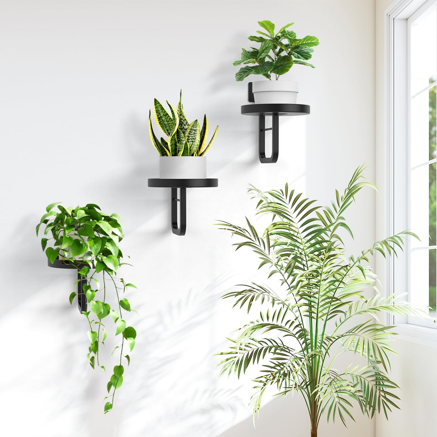 JOPBENG Wall Plant Holder, 7.9 Inch Hanging Plant Holder Wall Planters for Indoor Plants, Wall Mounted Plant Holder Window Plant Shelves for Outdoor Metal Wall Planter Black 2Pcs