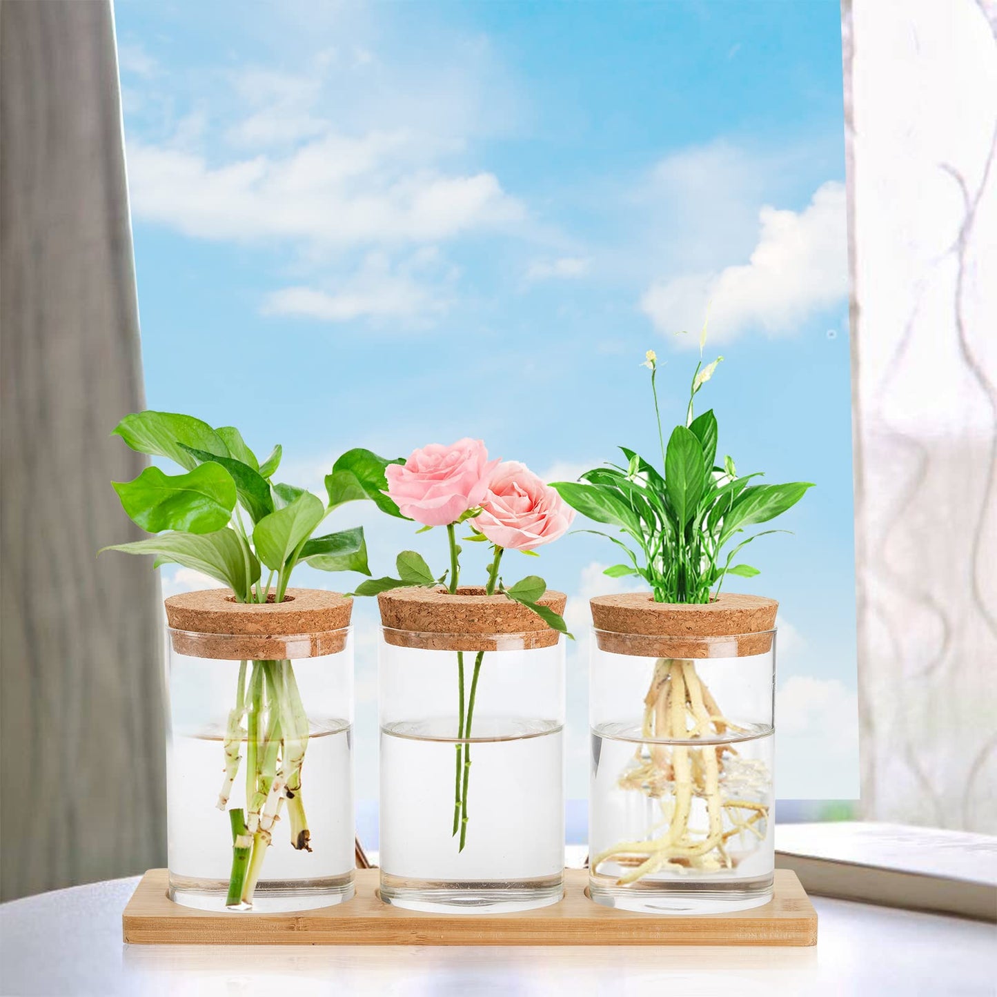Lawei 3 Pcs Plant Terrarium Propagation Stations, Tabletop Glass Water Planting Glass Vase with Wooden Tray, Clear Jars Containers for Grow Hydroponic Plants Home Office Decoration