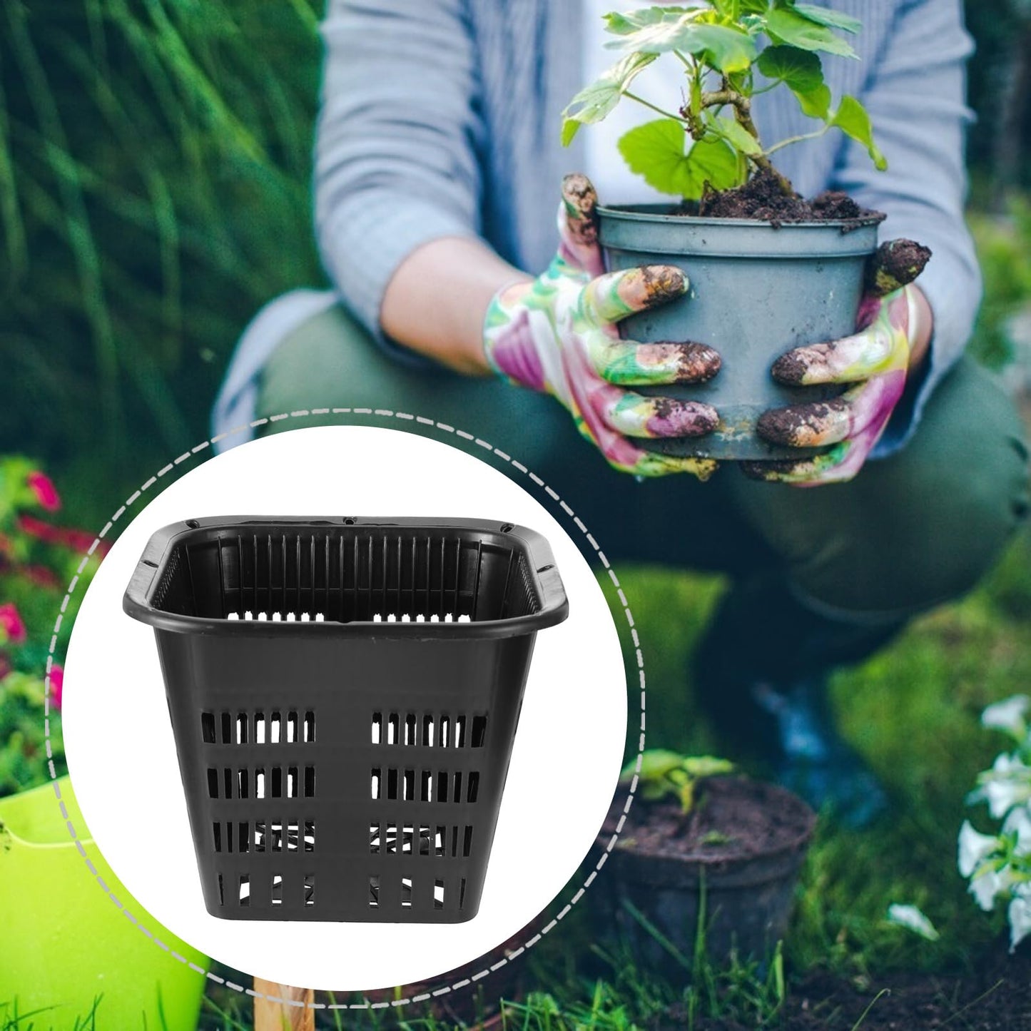 Cabilock 10-Pack 5.5 Inch Square Root-Control Pots – Thickened Plastic Slotted Net Pots for Hydroponics, Air-Pruning Nursery Holder for Orchids, Monsteras & Aroids (Black)