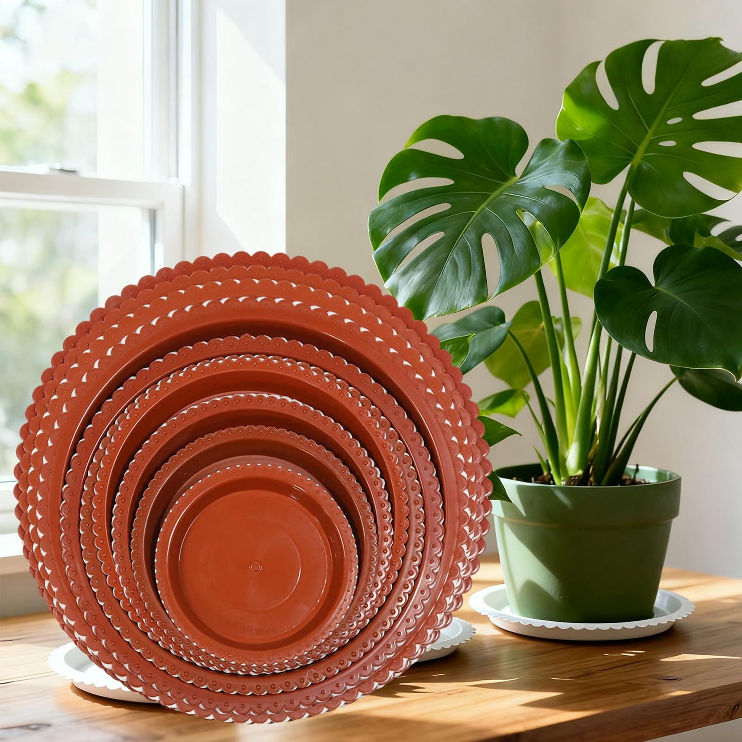 JAKOUE 4 Size Round lace Plant Saucer,6 Pack Pant Pot Trays, Plant Saucers for Indoors and Outdoors, Seed Starting Tray, Growing Trays,White(4",5",6",8")