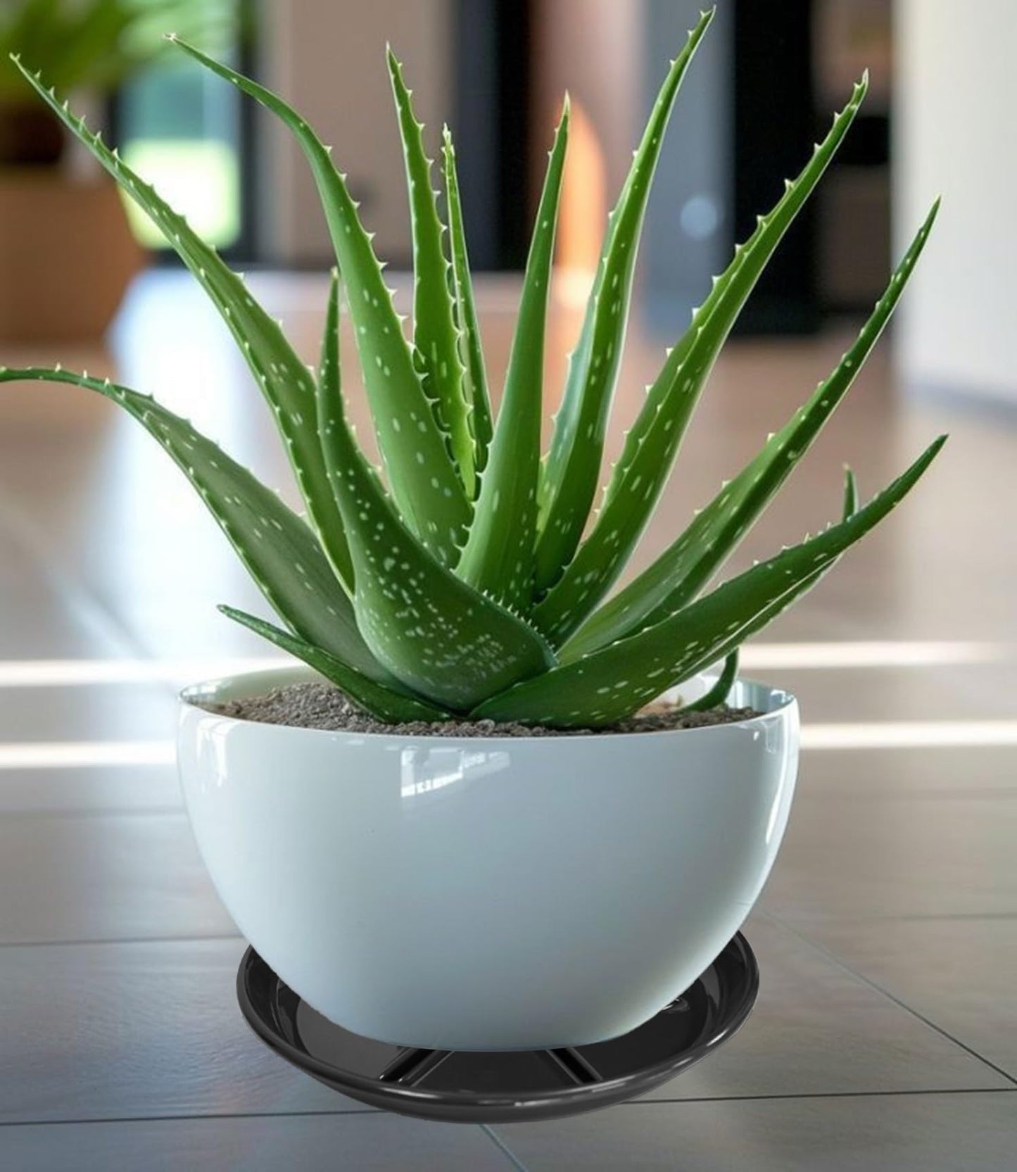 OVZILKI 2 Pack of Plant Saucer 10 inch, Heavy Duty Pot Saucers for Plants, Plant Drip Trays for Indoors Outdoor, Plant Water Tray for Planters, Black