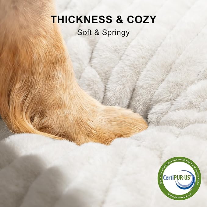 FURTIME Dog Bed Medium Size Dog, Washable Orthopedic Pet Bed with Removable Cover, Rectangle Soft Calming Sleeping Puppy Bed Durable Pet Cuddler with Anti-Slip Bottom, Cream, M Plus (30"x24"x8")