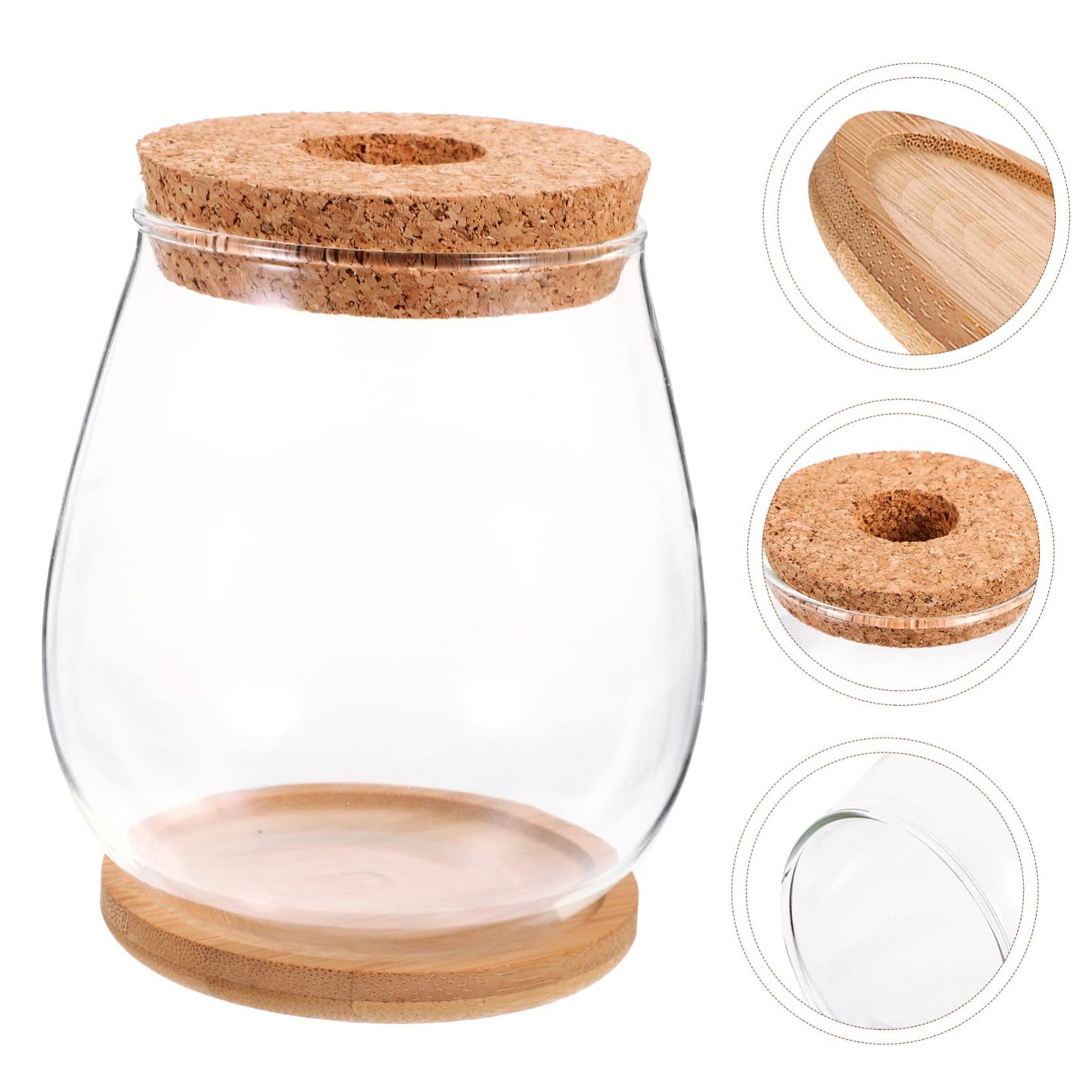 GANAZONO 1set Delicate Glass Terrarium Planter Bamboo Tray Hydroponic Landscape Bottle for Indoor Plants Compact Micro Ecosystem Decor for Home and Office