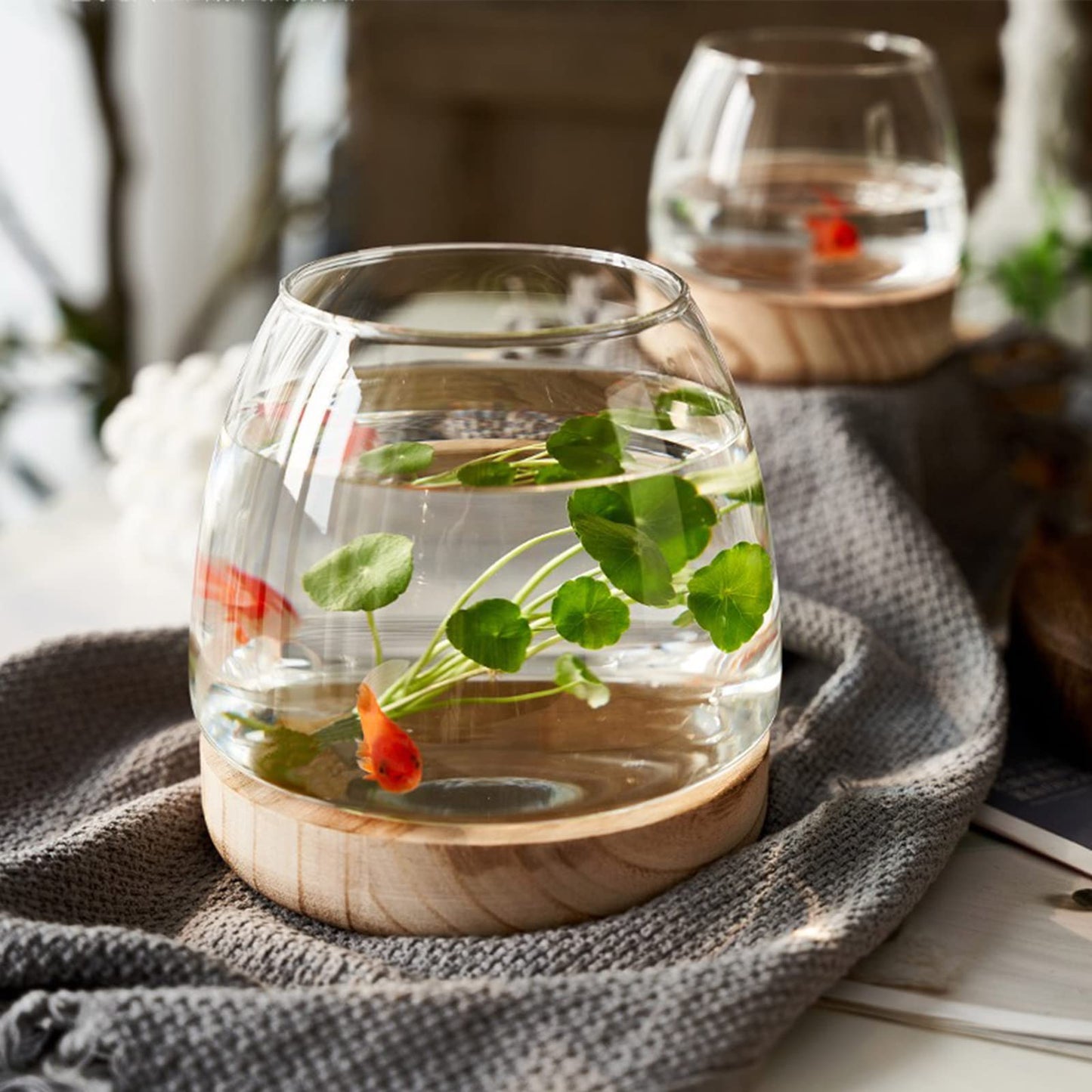 DCQRY Clear Glass Bubble Bowl Glass Planter Hydroponic Plant Vase with Detachable Wood Base Unique Fish Tanks Glass Terrarium Container Pot for Hydroponic Plants Home Garden Decor