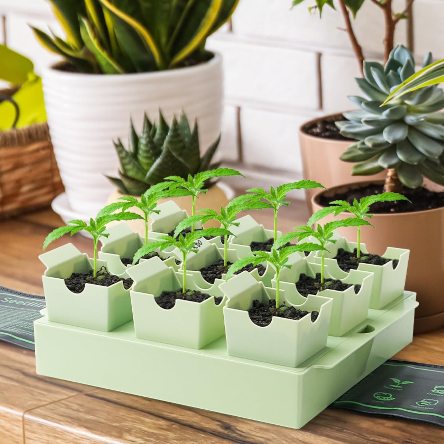 GREENBAZZAR Seed Starter Tray, Dual-Purpose Handles for Transplanting & Labeling, 9 Deep 2.3 in Cells, Extra-Thick Reusable Germination Kit, for Indoor, Outdoor & Greenhouse Use