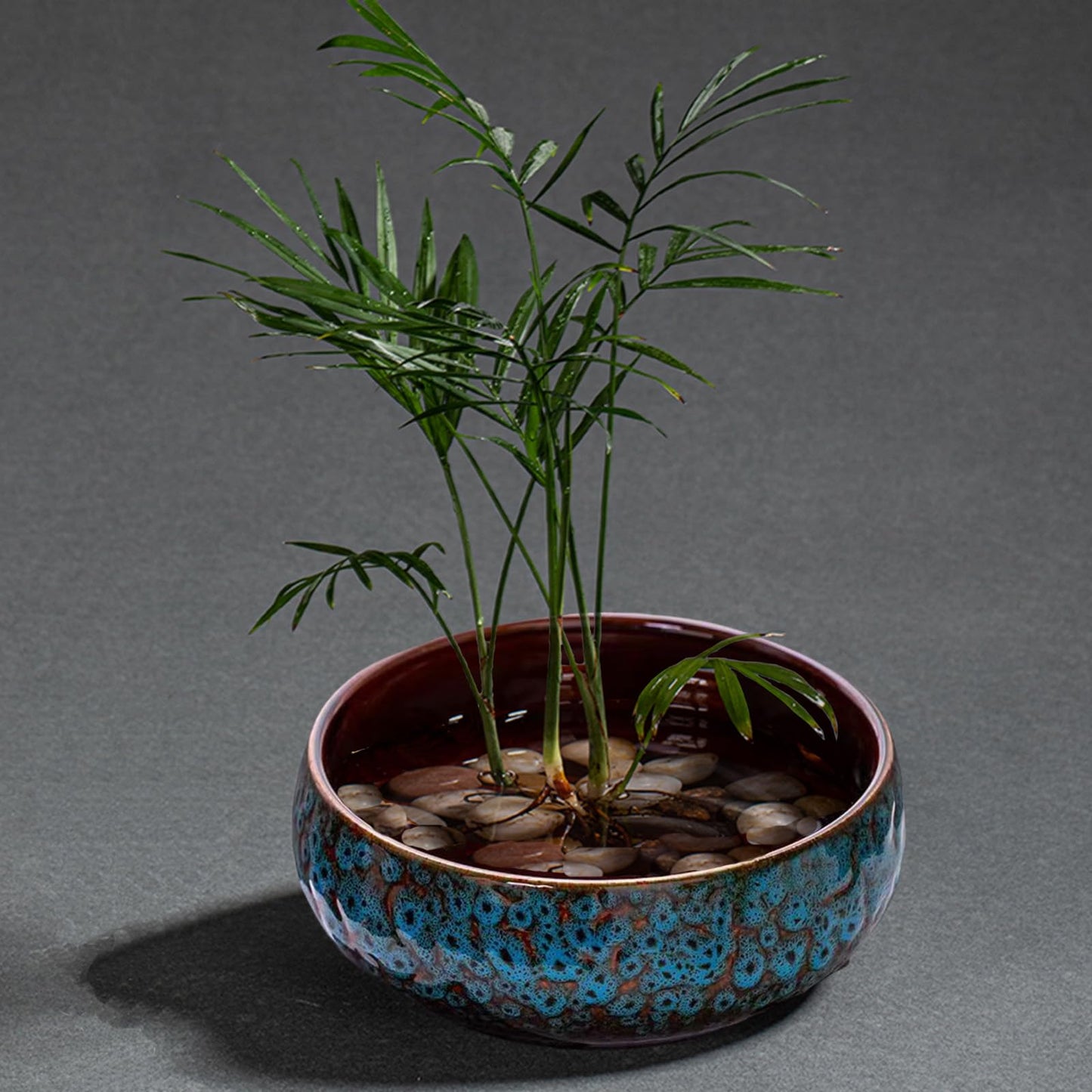 Lotus Bowl Planter, Decorative Ceramic Plant Pots with Moisture-Multifunctional Design, Succulents Orchids Indoor Plants, Thickened Round Planter for Home Desk & Shelf Decor