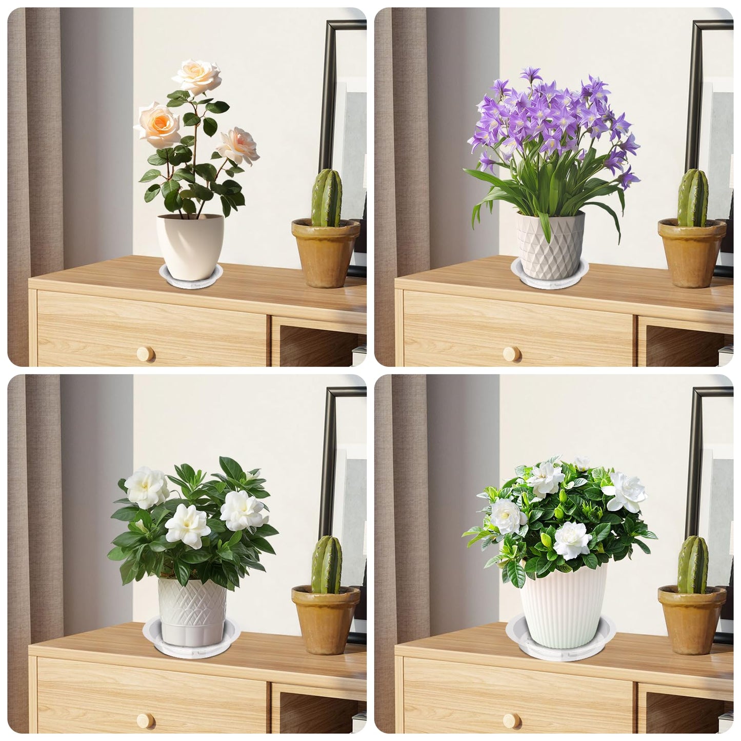 Hyuetrsa 36 PCS Plastic Plant Trays,6/8/10/12 Inch Plant Saucers Clear Plastic,Plastic Plant Saucer Durable Plant Trays for Plant pots Indoors and Outdoors(Round,Clear)
