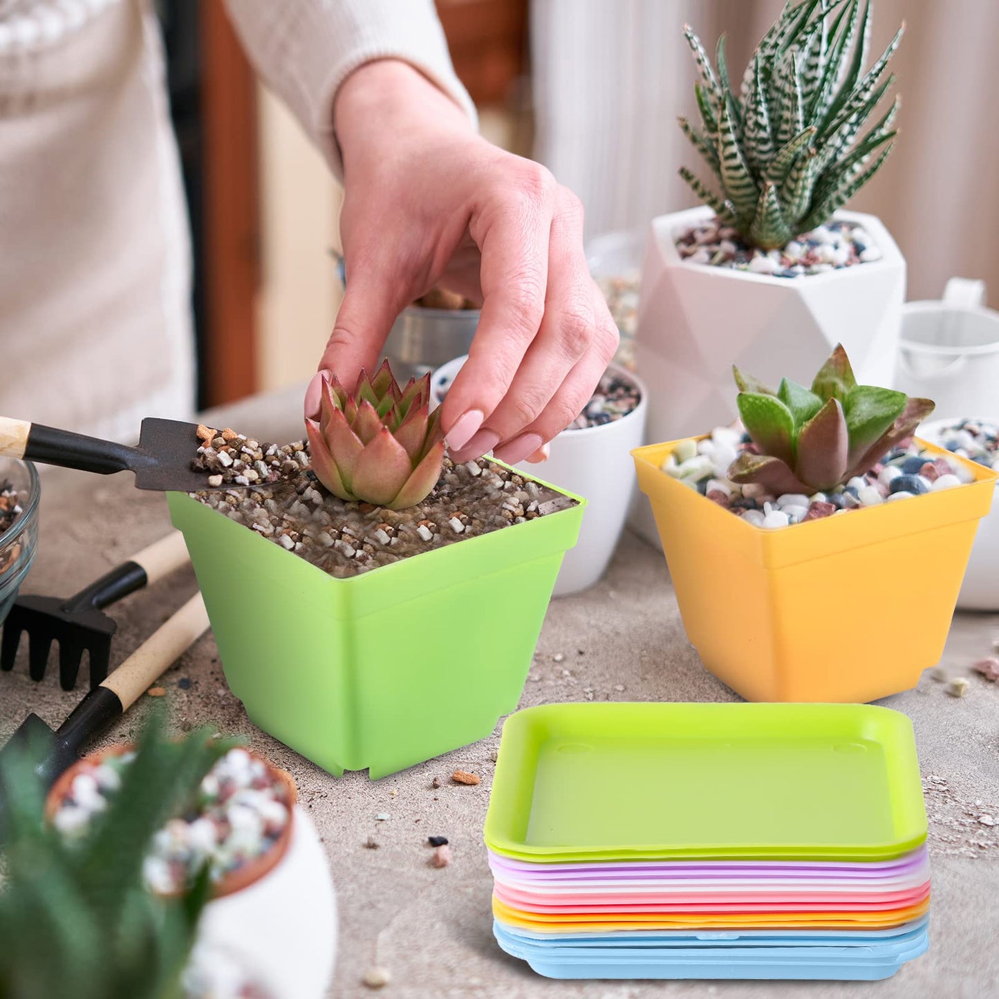 Amyhill 100 Pcs 4 Inch Flower Pots Square Plants Nursery Pot Plastic Plant Seedling Pots Small Nursery Transplanting Planter Container with Saucer for Indoor Succulent Balcony Garden (Classic Color)
