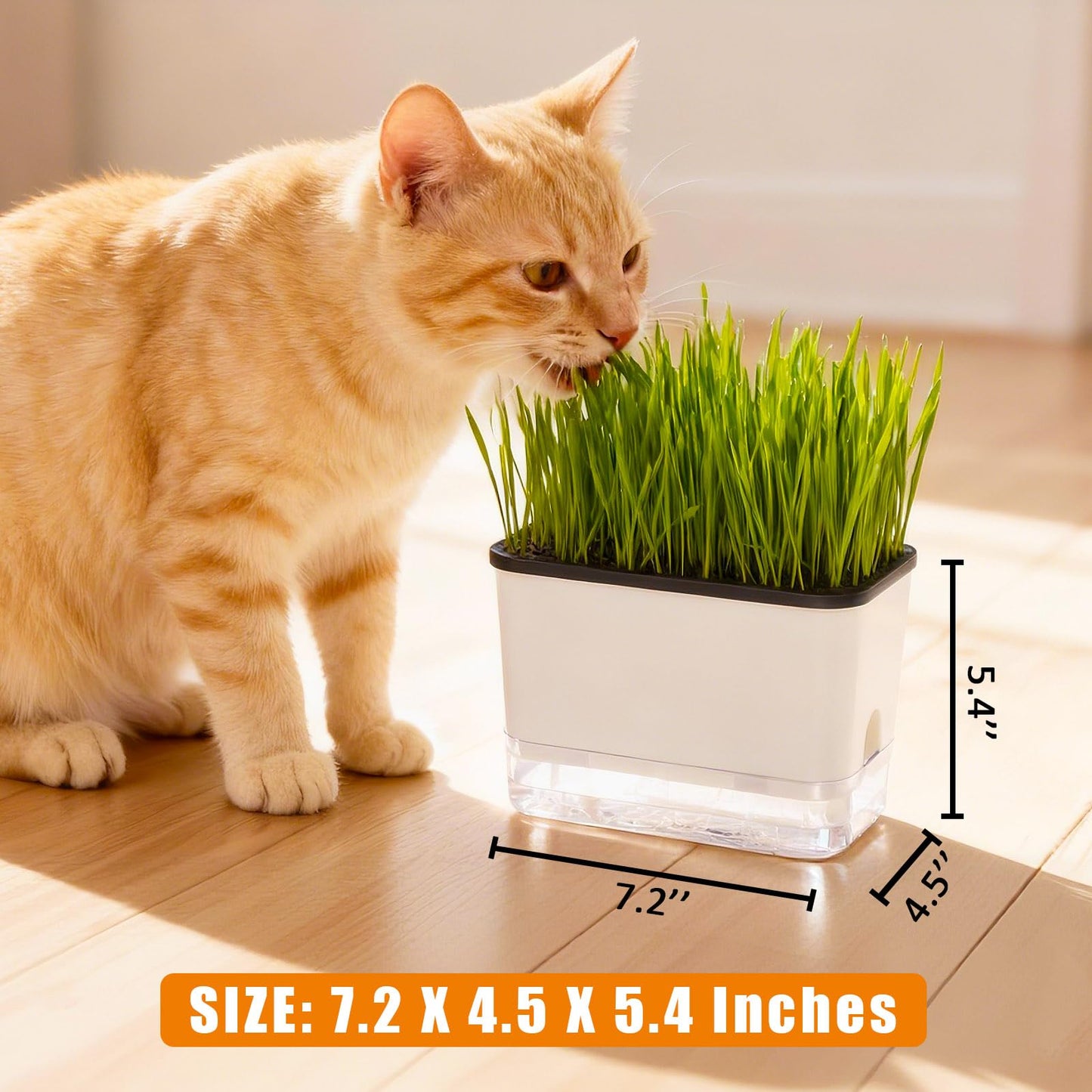 BENPIN Self-Watering Cat Grass Planter (no Seed Included), with Drainage Holes and Anti-Digging Design, Wheat Grass Growing Pot, Cat Grass for Indoor Cats Pets (1)