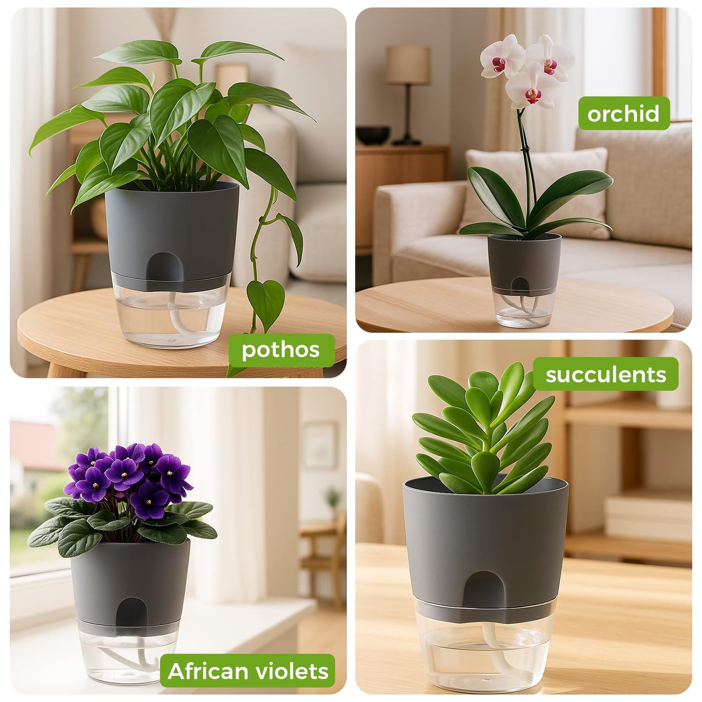 5 Pack Self Watering Pots for Indoor Plants, PlanterHoma 4 Inch Plant Pot Plastic Self Watering Planter for Orchid, African Violet, Small Clear Flower Pots with Drainage Holes and Wicking Rope, Grey