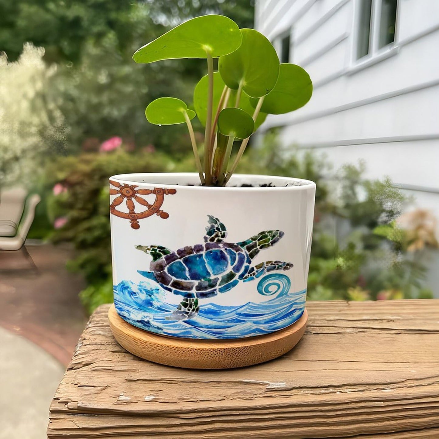 DreamAutumn Ocean Theme Sea Turtle Planter Ceramic Round Plant Pots with Drainage Holes and Bamboo Tray Planting Small Flower Pots for Home Windowsill Desk Garden Indoor Outdoor Use