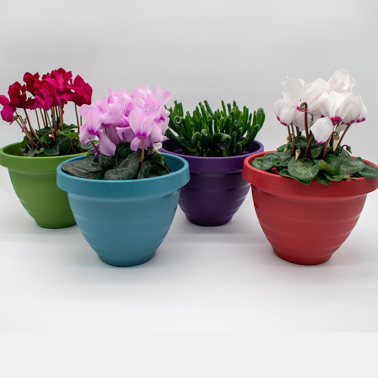 The HC Companies Rings Flower Planter - Self Watering Plant Pots for Herbs & More - Round Lightweight Outdoor & Indoor Planter (10" Blue, Pack of 1)