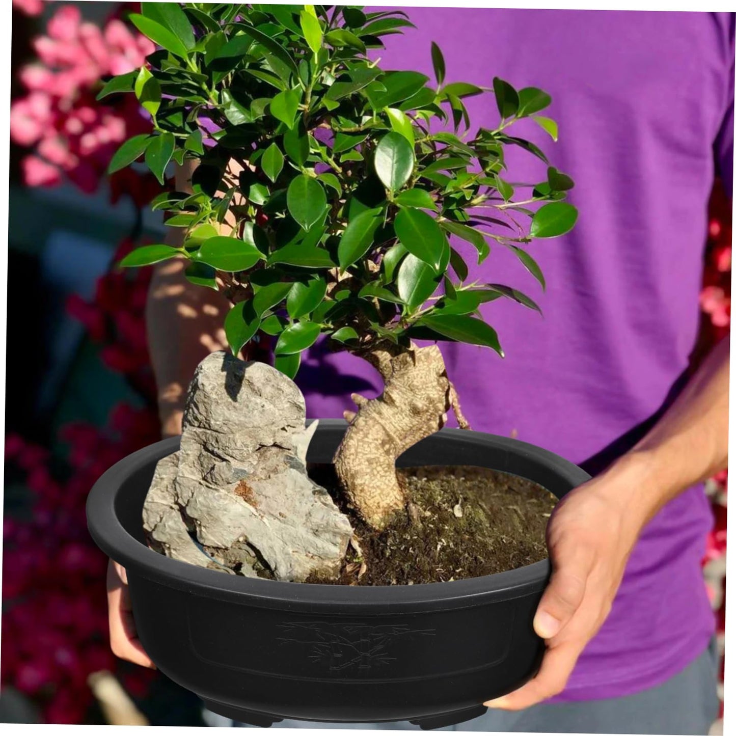 DOITOOL 2Pcs Bonsai Training Pot 15 inch Plastic Flower Pot Bonsai Pot with Drainage Hole, Oval Bonsai Planter Pot Plants Growing Pots for Nursery, Garden, Balcony, Black