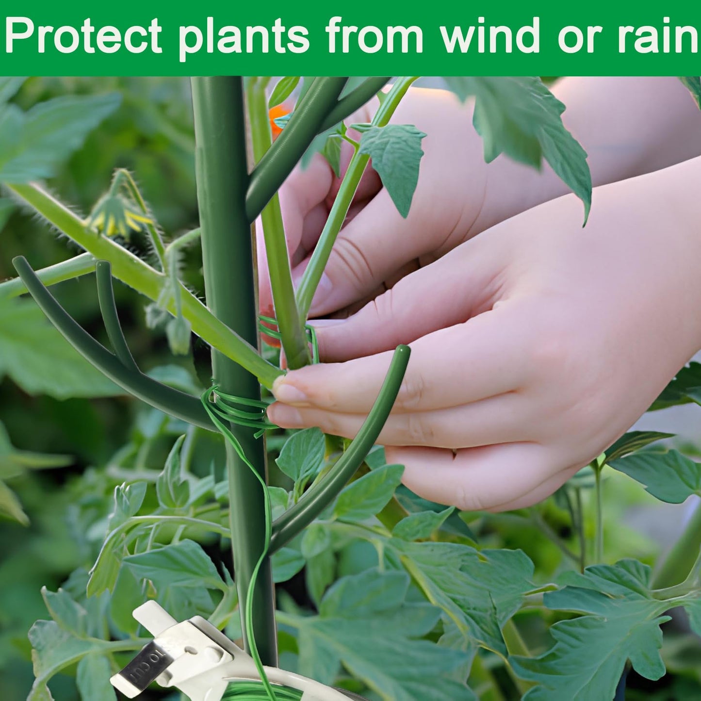 Orgrimmar 10 Pack Monstera Plant Support Stakes Adjustable Length with Green Ties for Indoor Outdoor Climbing Plants